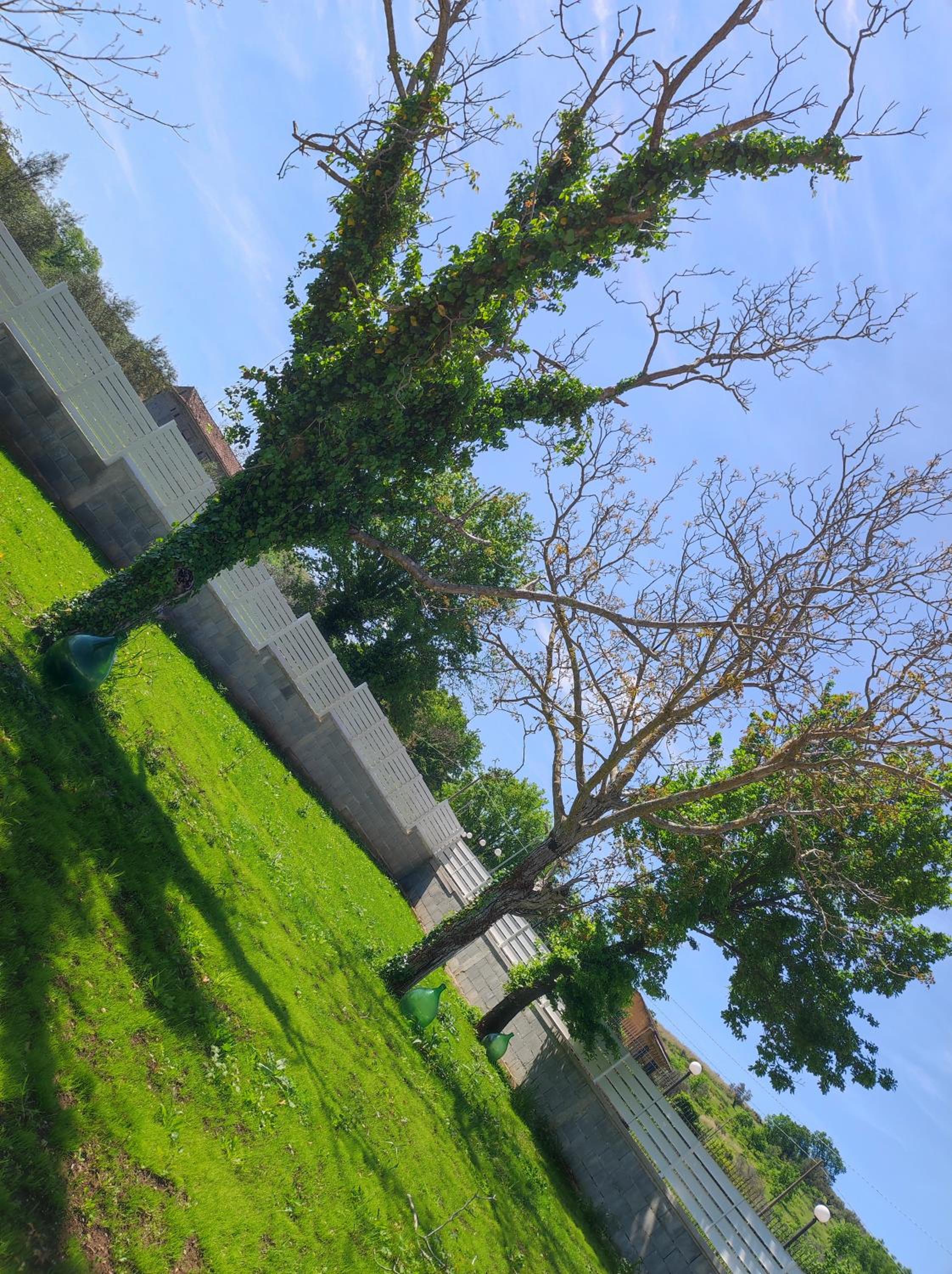 Janus Casa nel Verde - exclusive villa with pool
