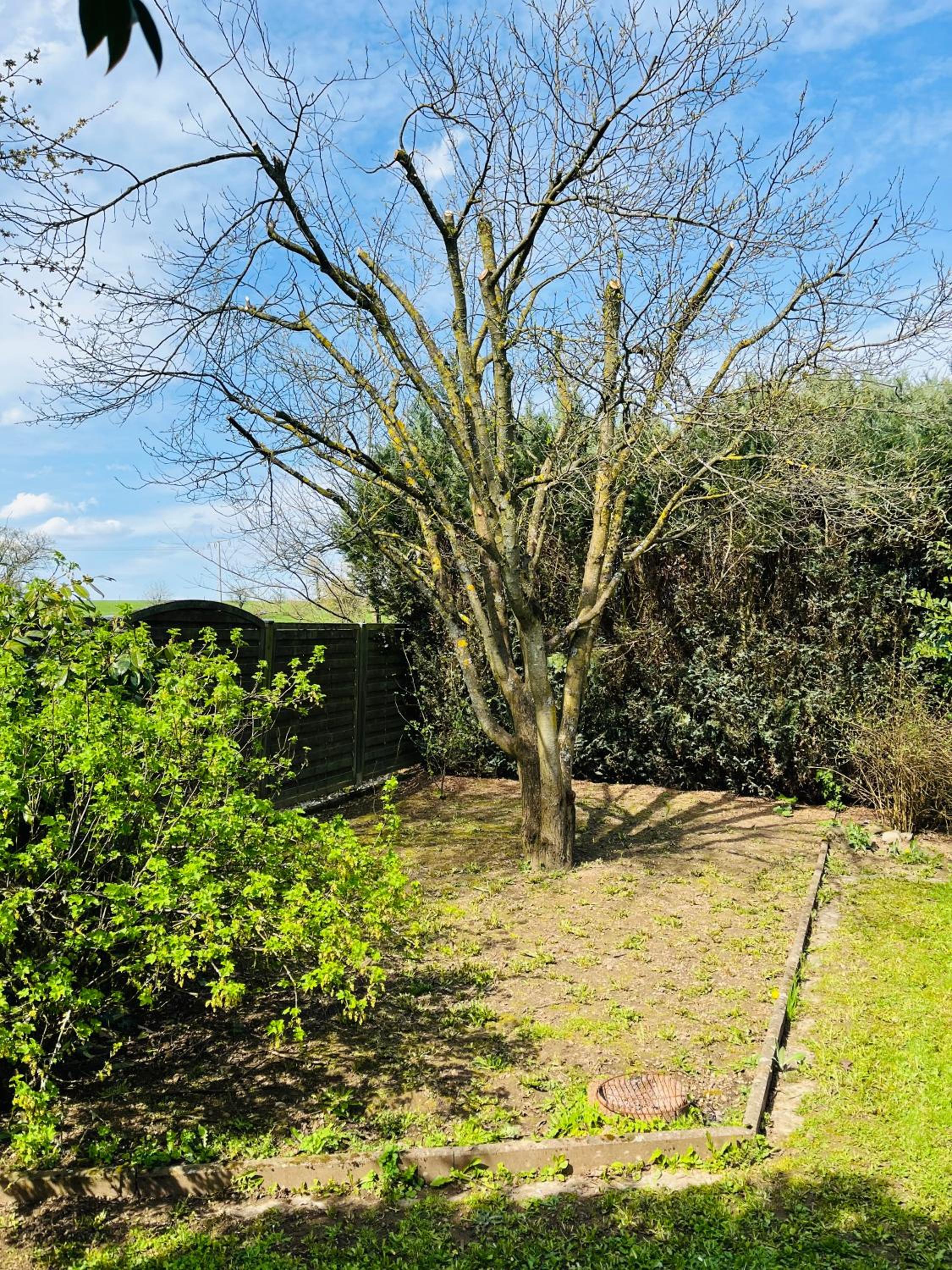 Pension Platzhirsch