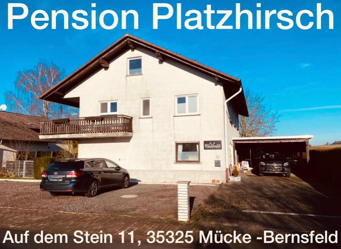 Pension Platzhirsch