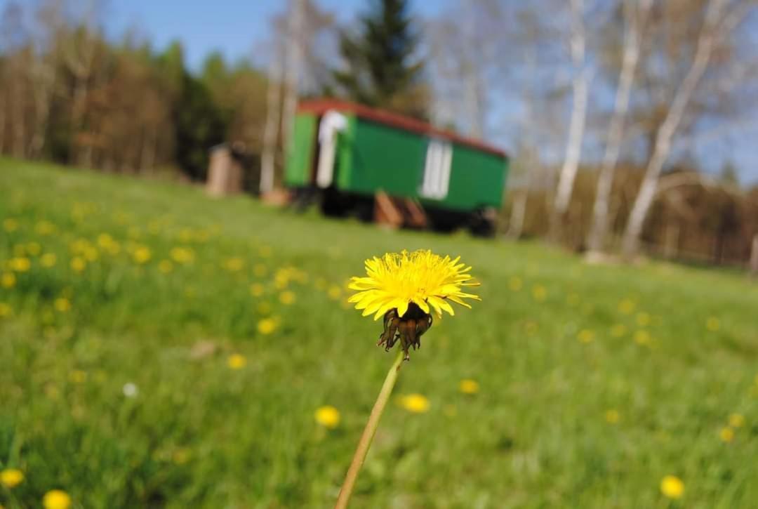 Šťastná Maringotka