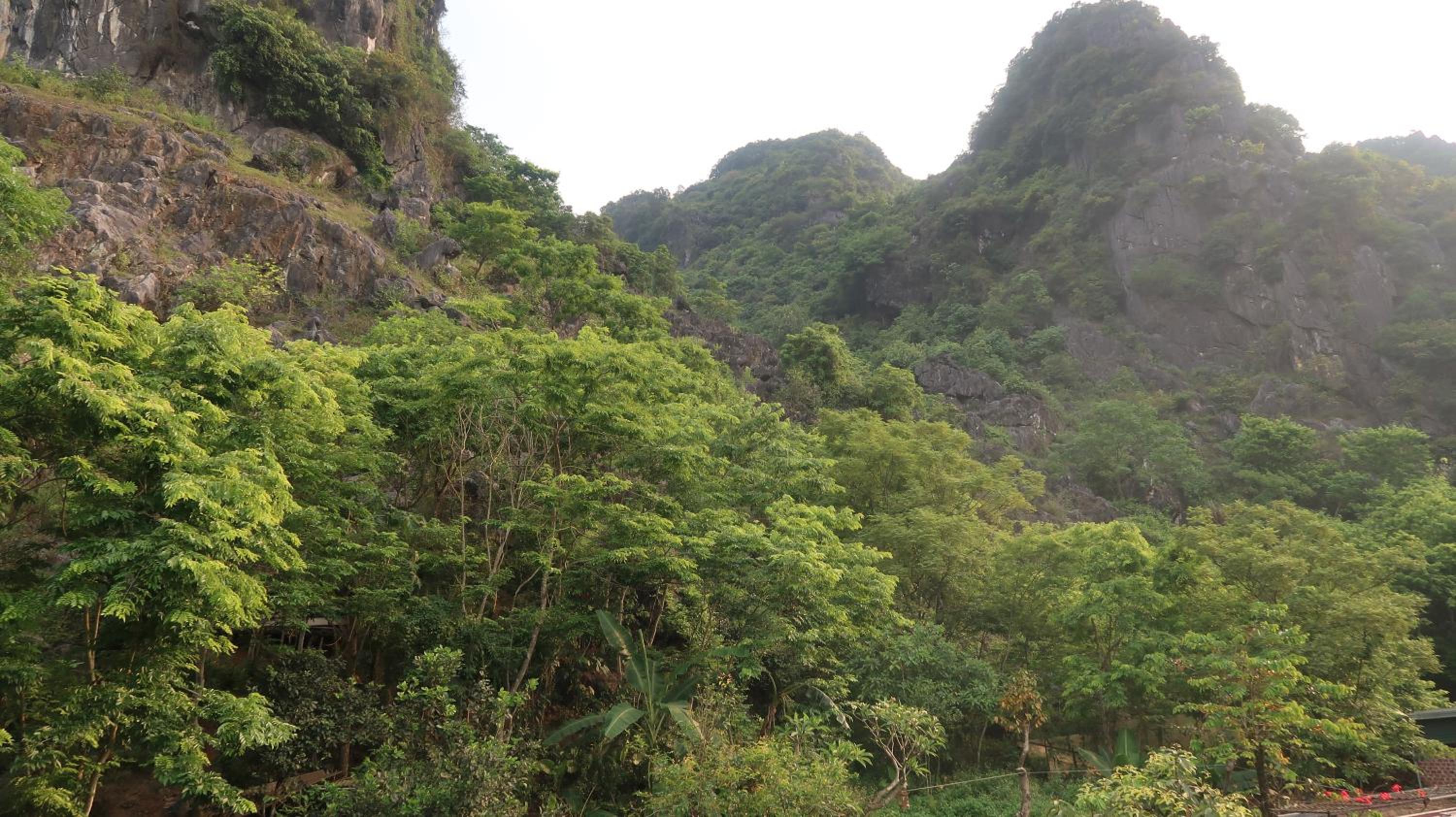 Hoan Chau Homestay view 3