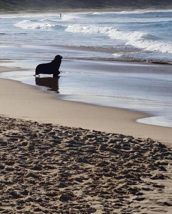 Selenas @ Culburra Beach