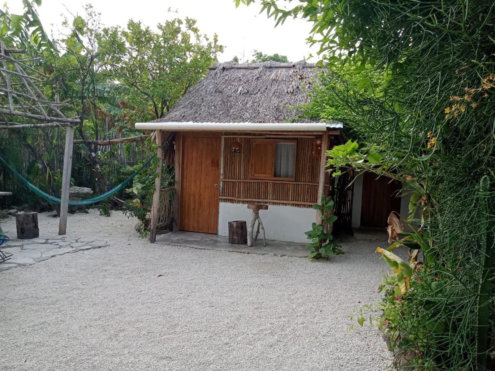 Photo 16