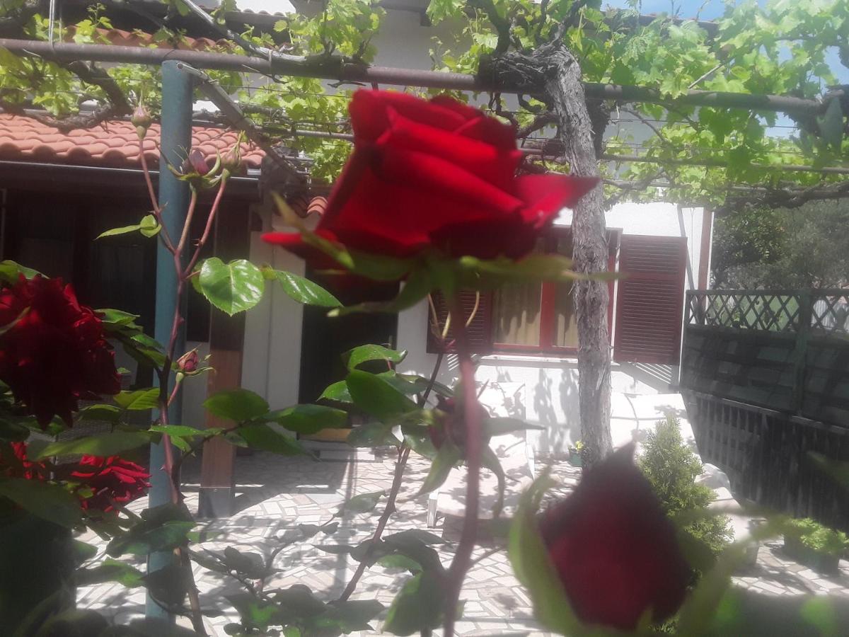 Photo 30