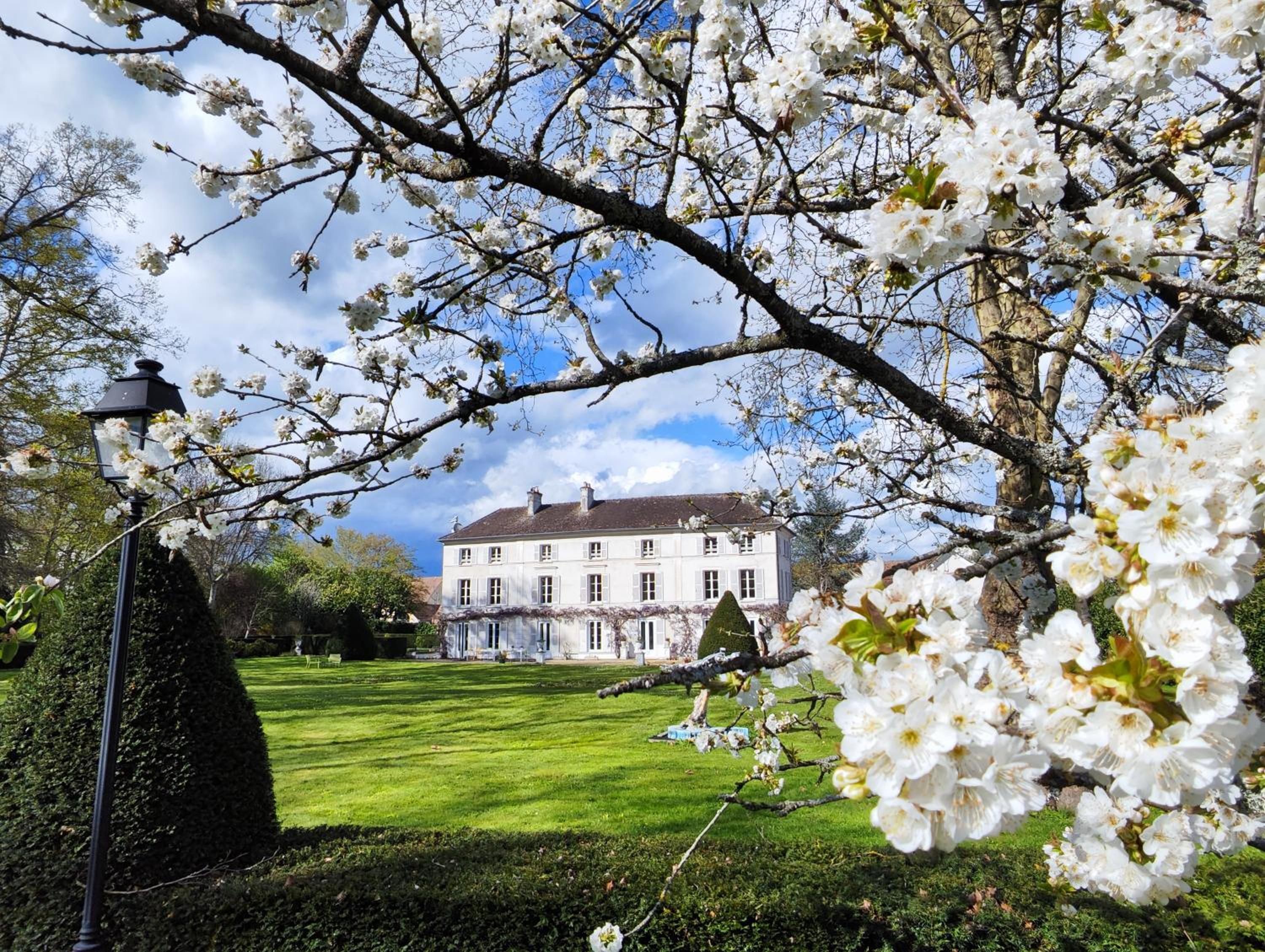 CHATEAU DE BRINVILLE view 2