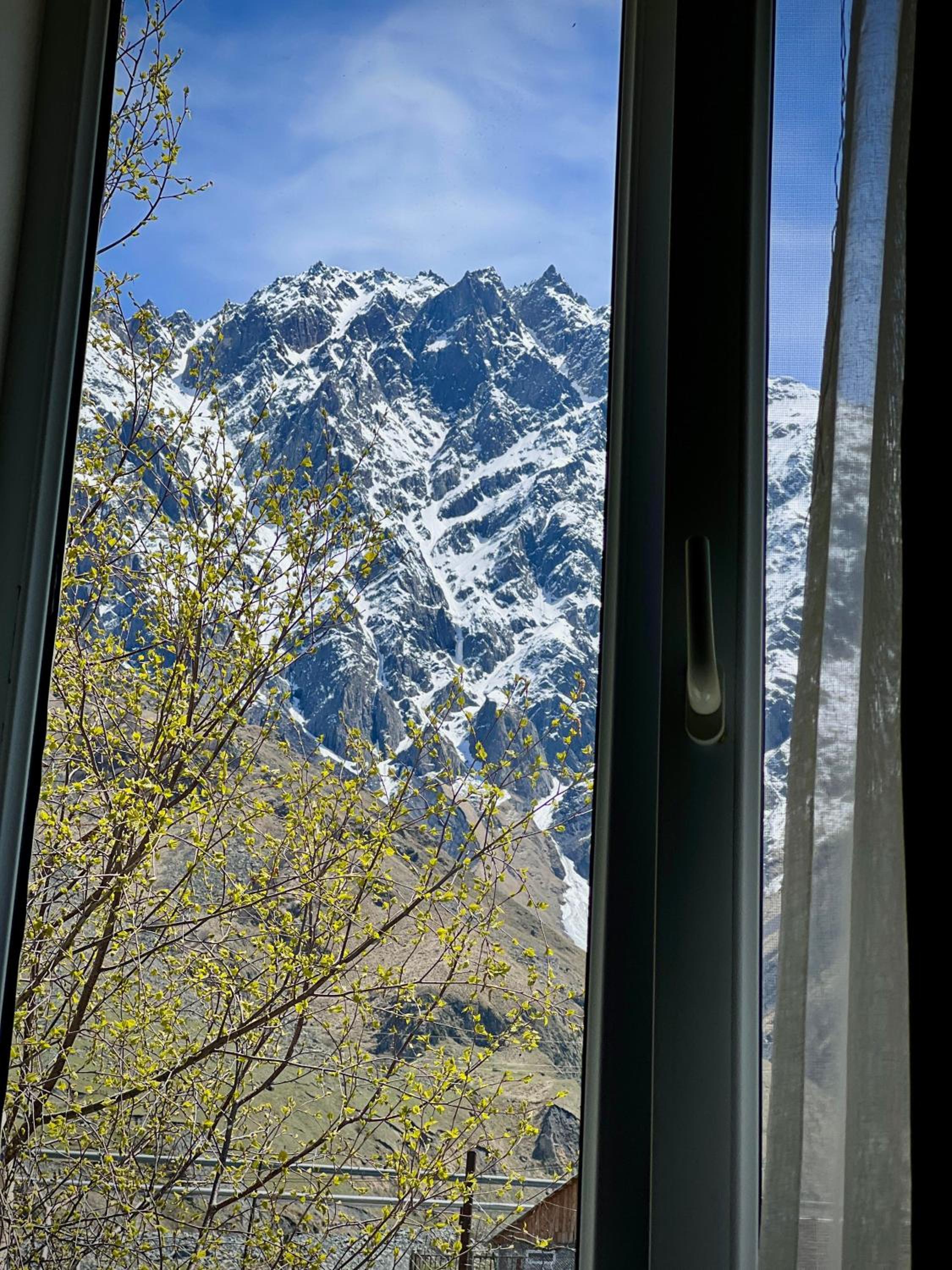 Mountain KAZBEGI Apartment