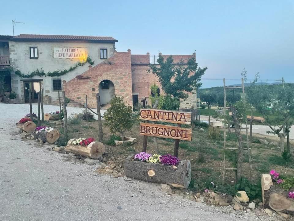Fattoria di Pieve Pagliaccia - Cantina Brugnoni view 3