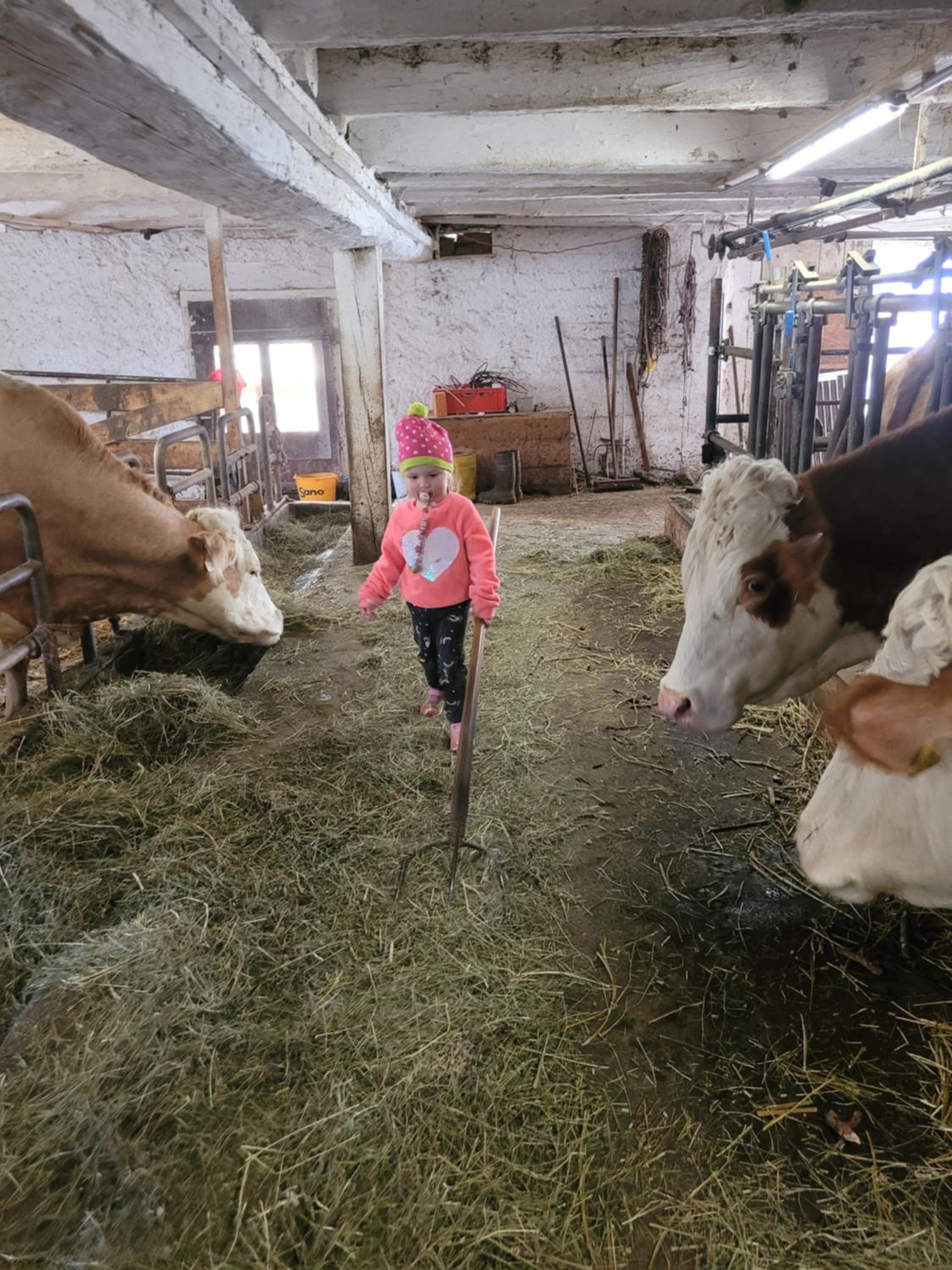 Ferienwohnung Biohof Untermar