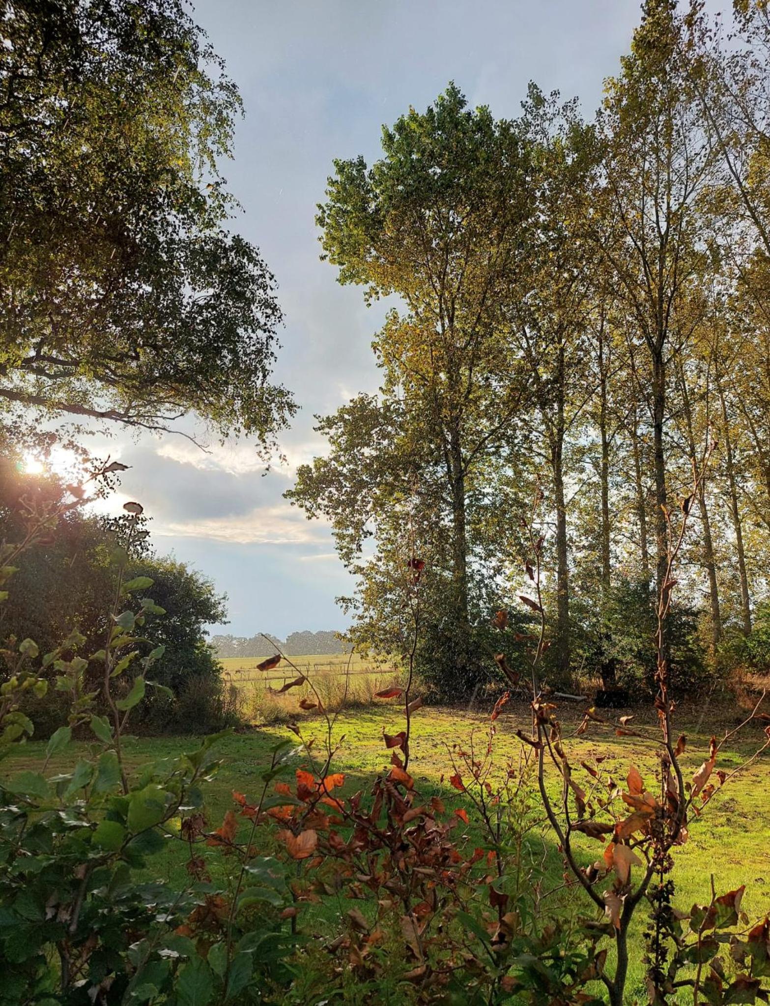 B&B Grevenberg view 3