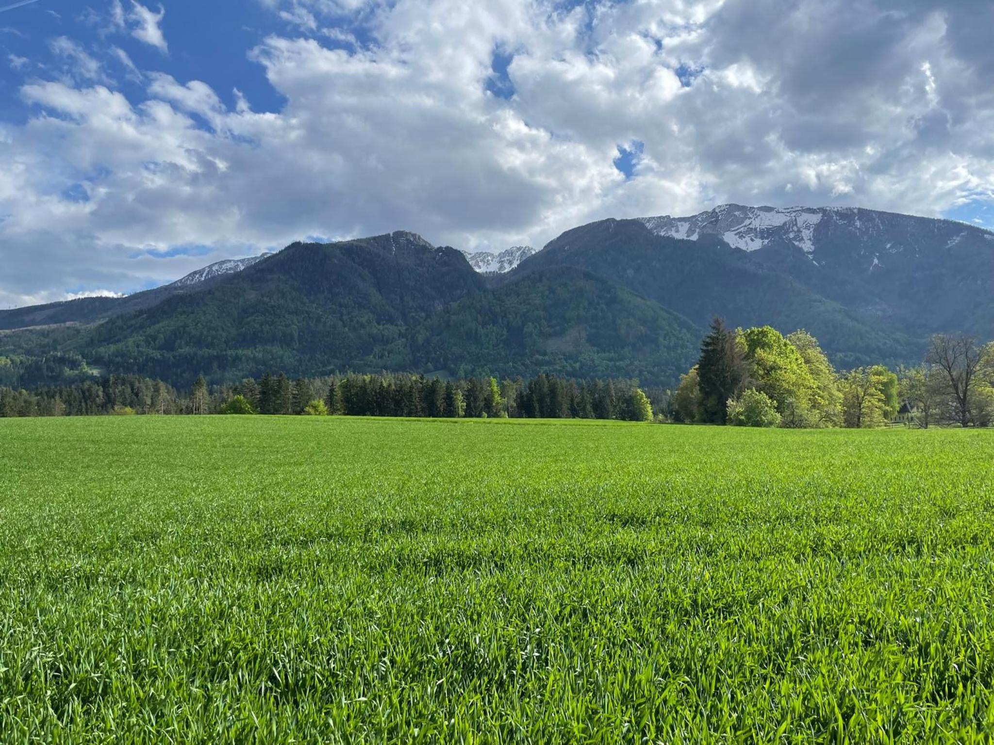 Ferienwohnung Igerc