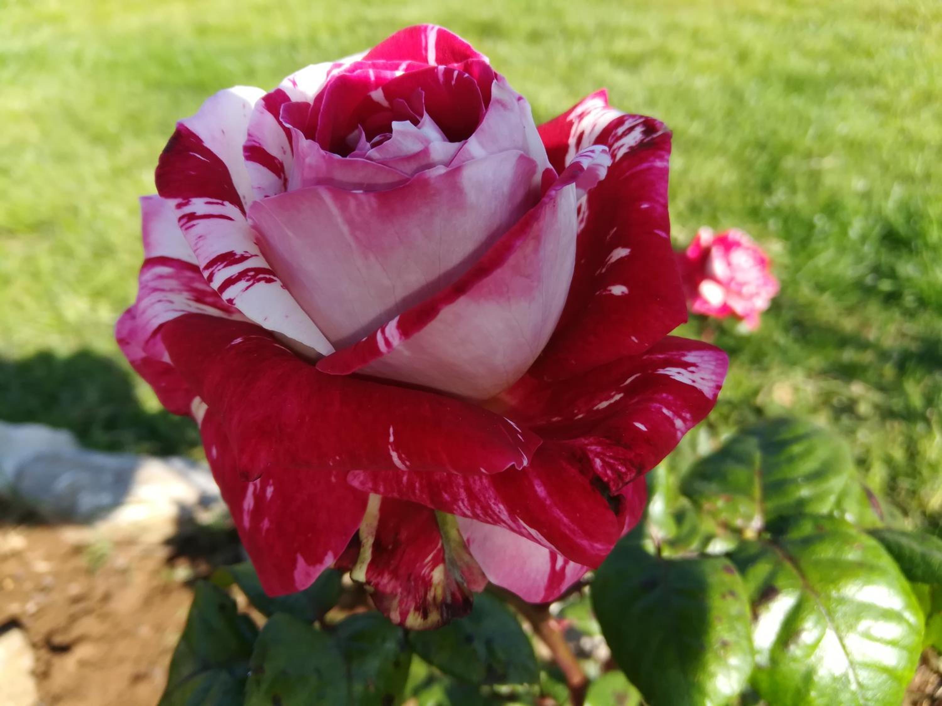 Photo 47