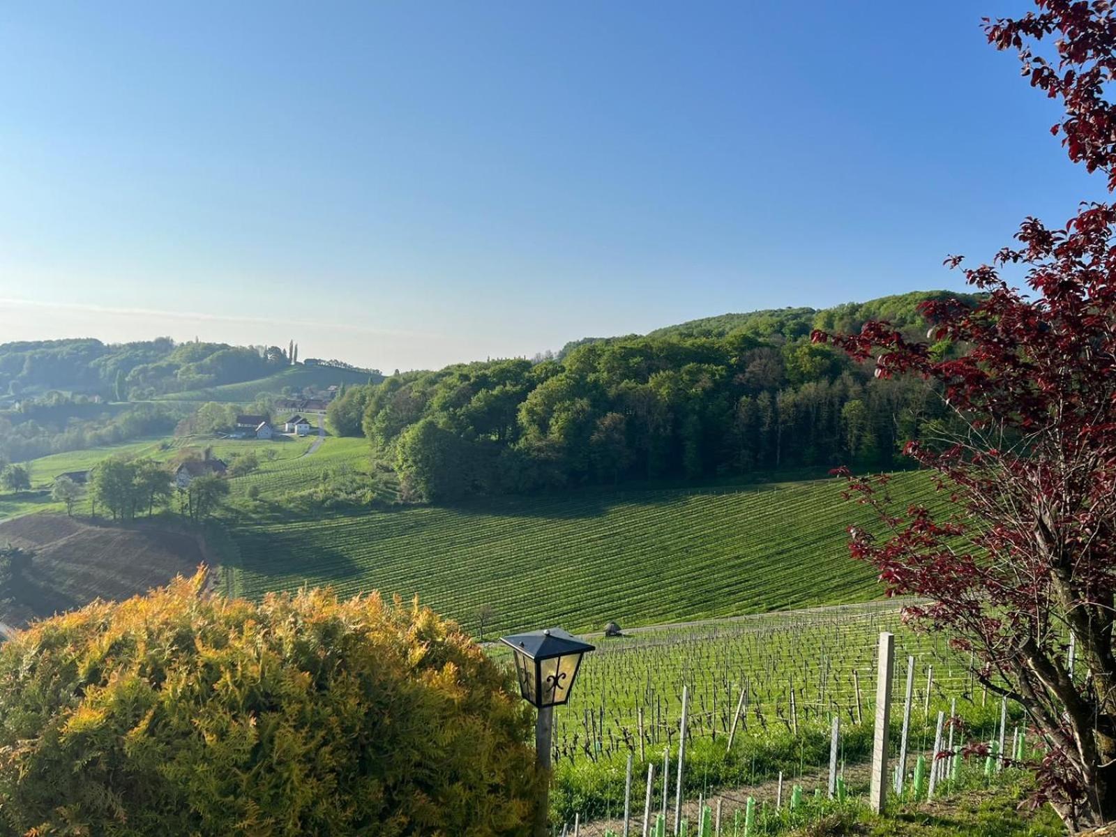 Das Winzerhaus am Grassnitzberg