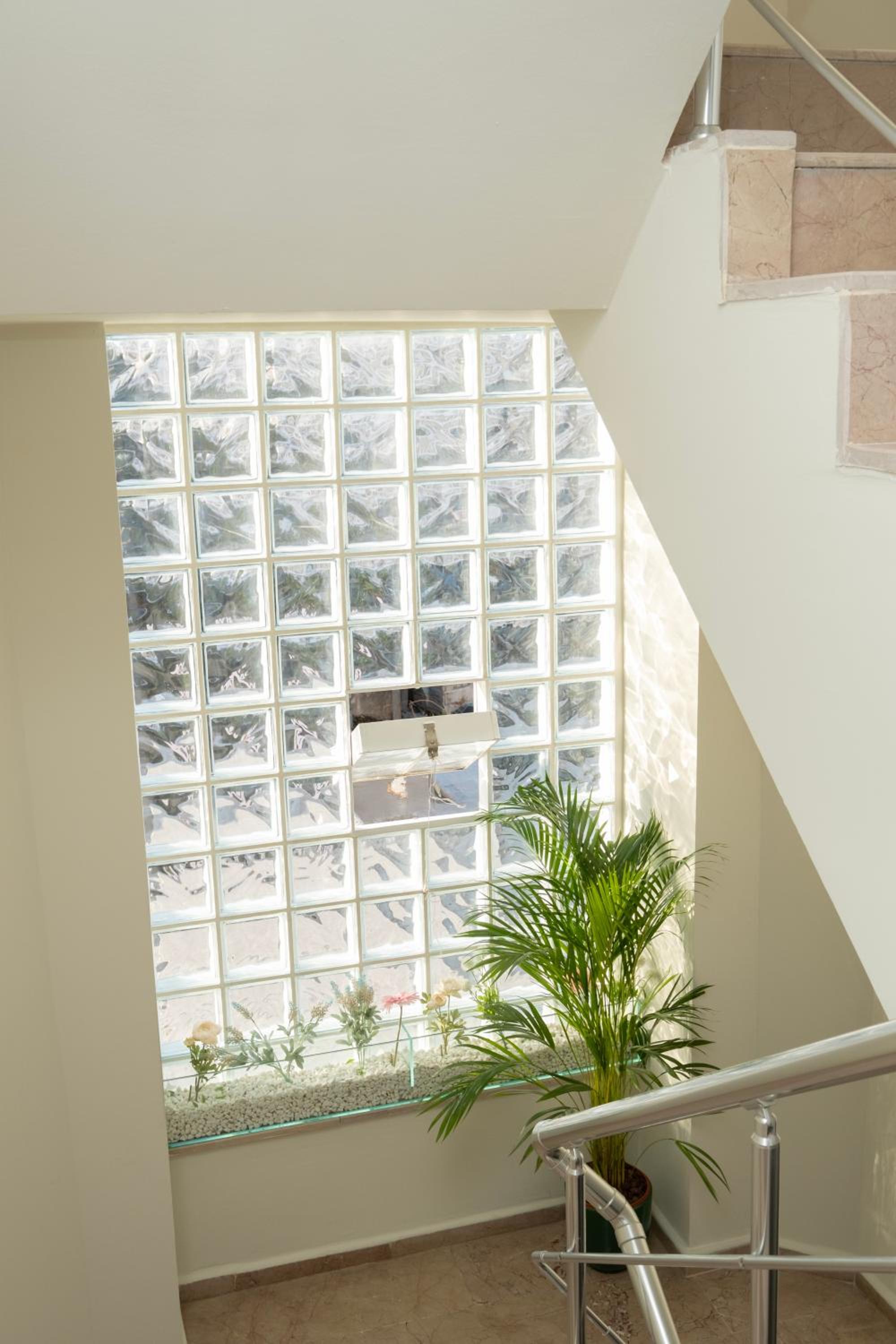 Wolf Süitleri - Image 26