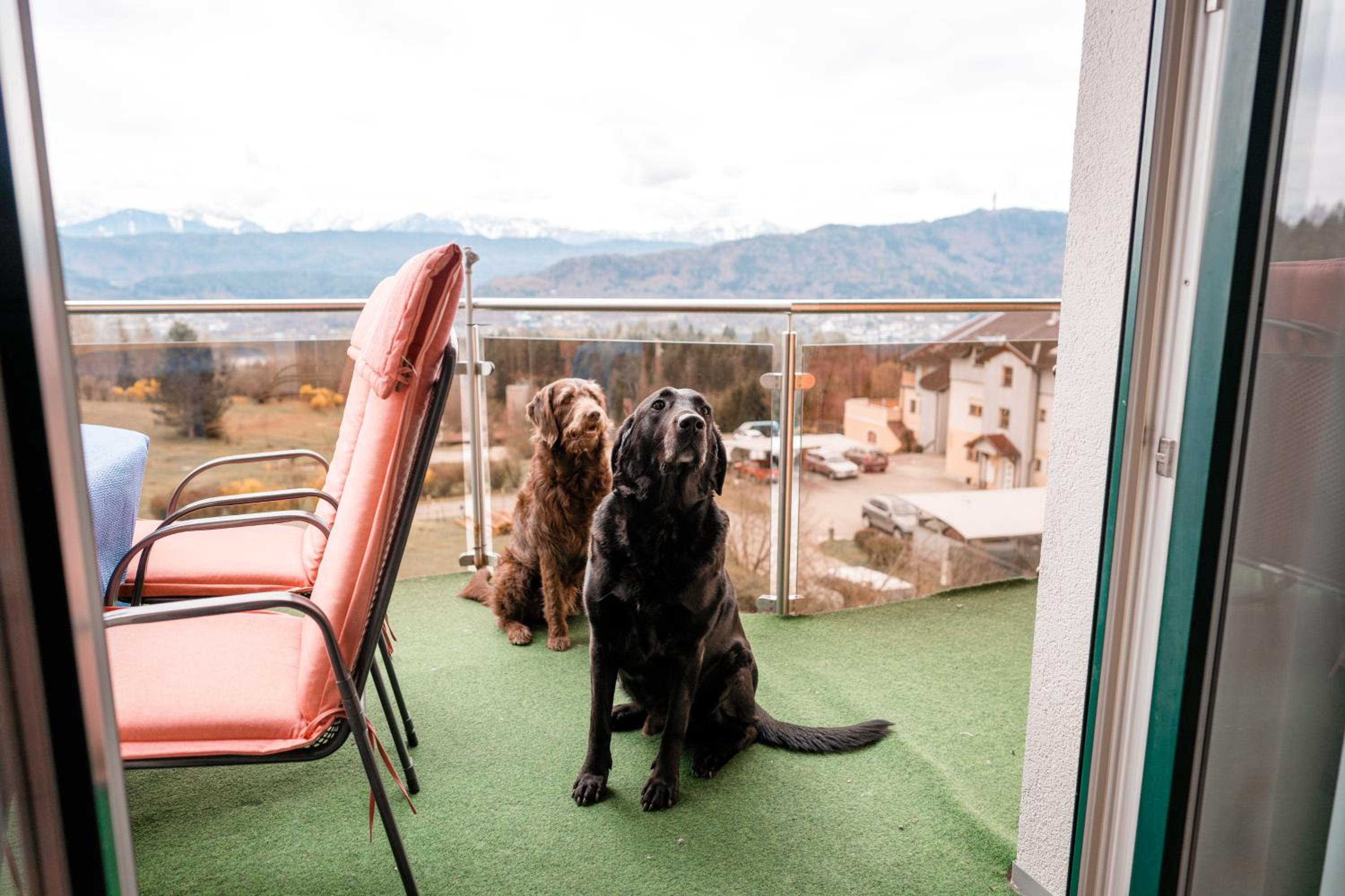 Urlaub für Mensch und Tier - Appartements Pirkhof