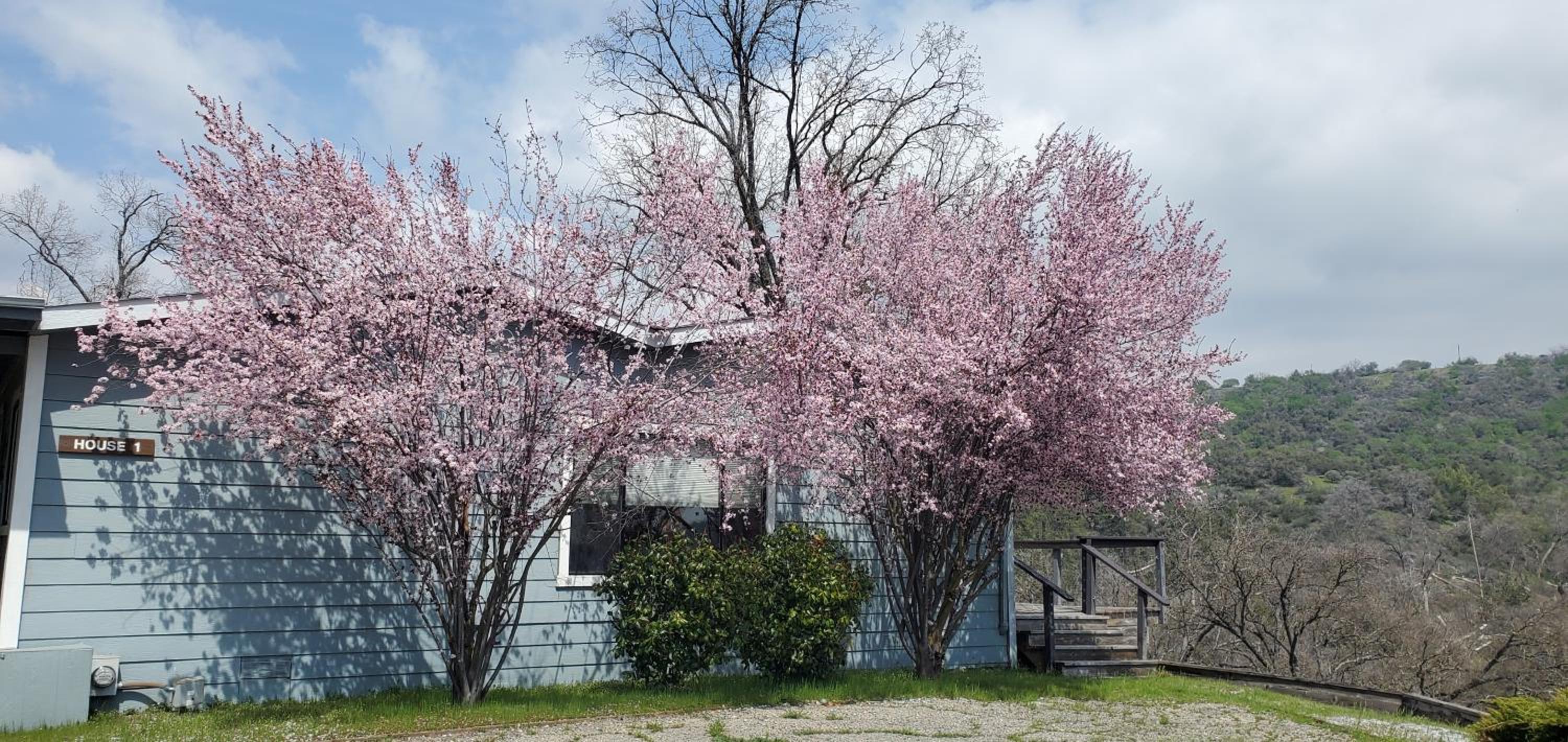 Three Rivers Vacations - Sequoia Resort - Property Image 3