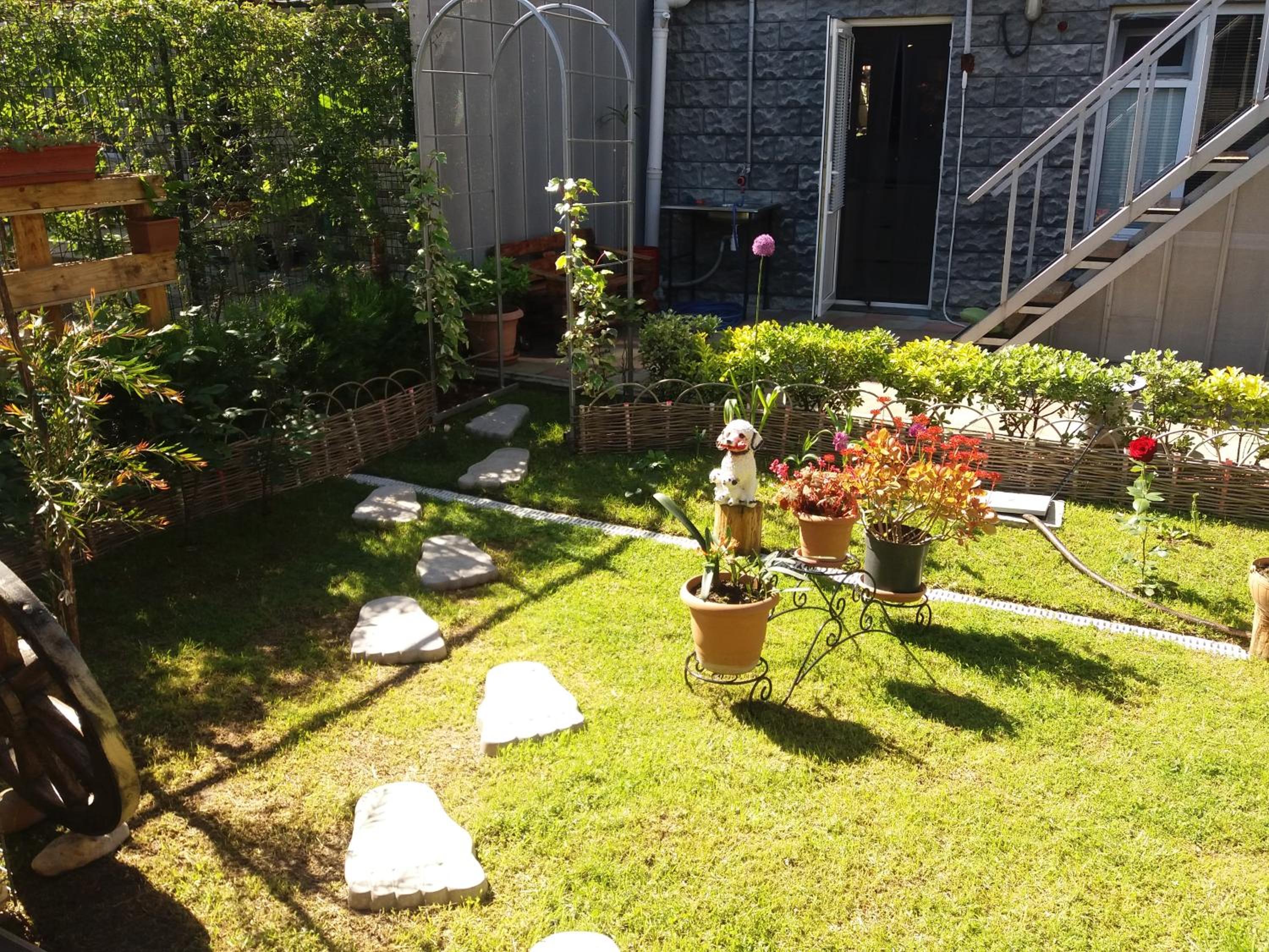 Photo 8
