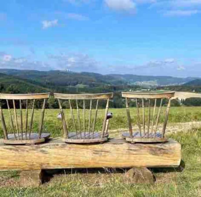 Fachwerkhaus im Sauerland - Goldhase Anno 1700