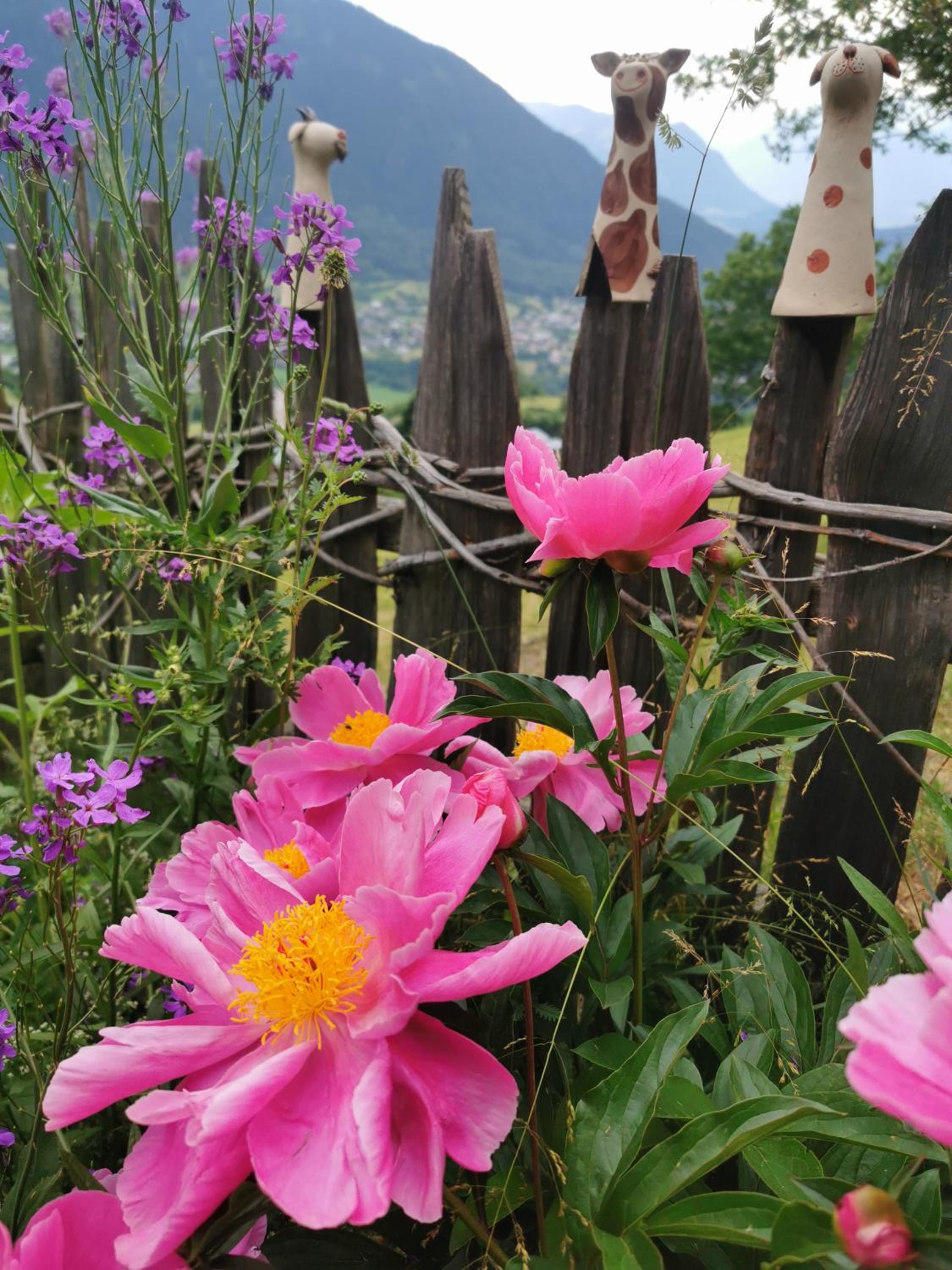 Wieserhof Tirol