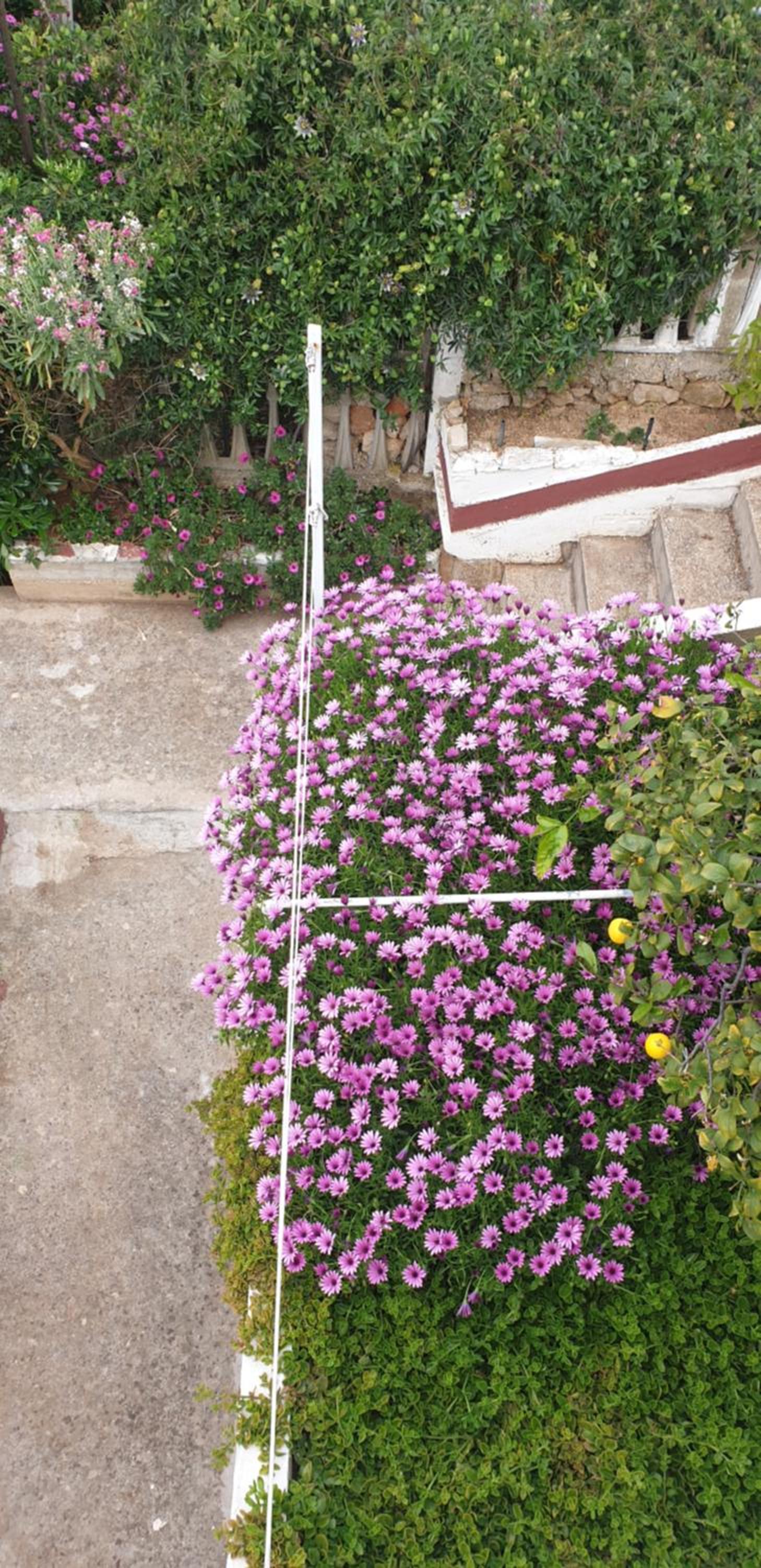 Apartment Sliskovic en Vis