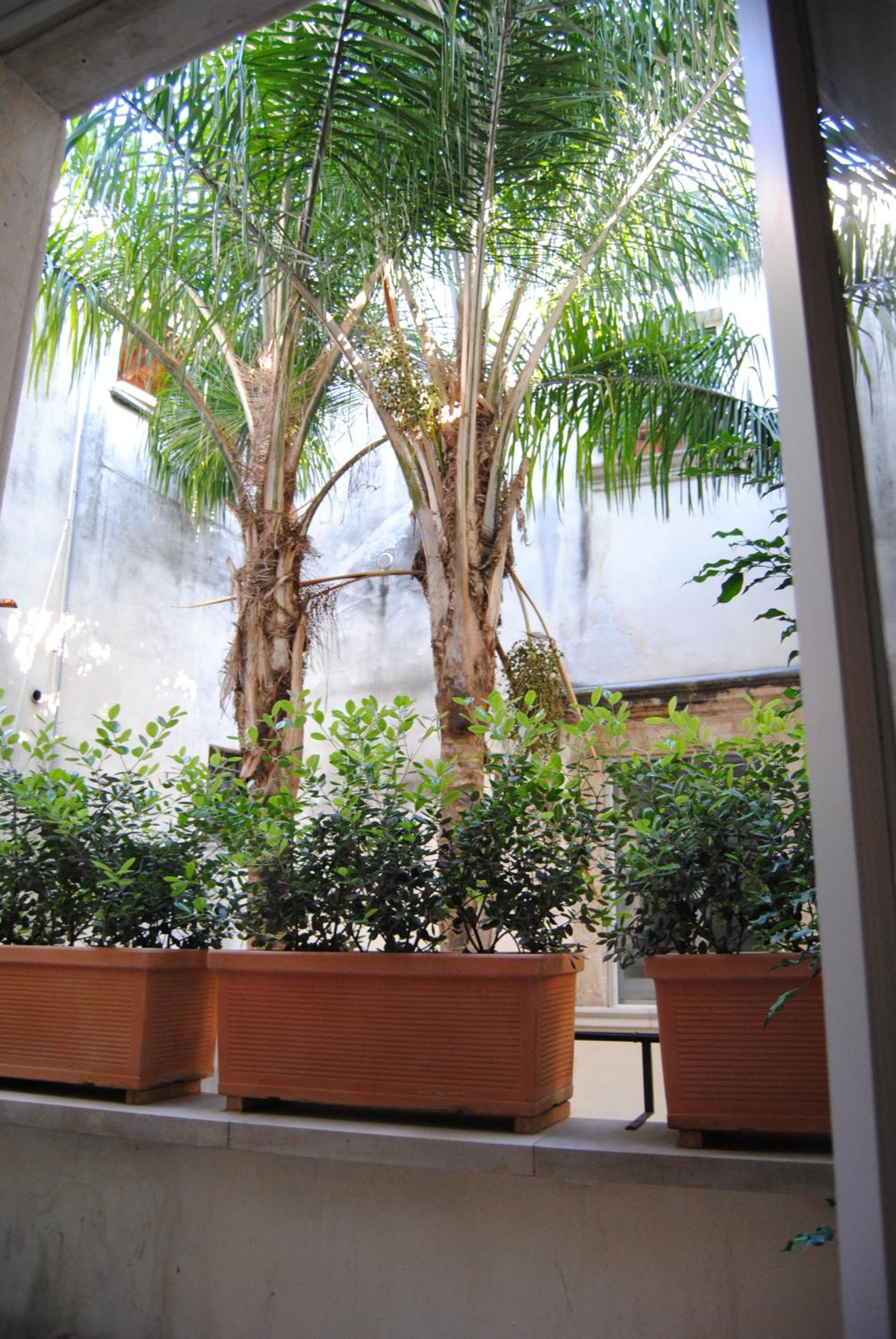 FLO House BARI photo 2