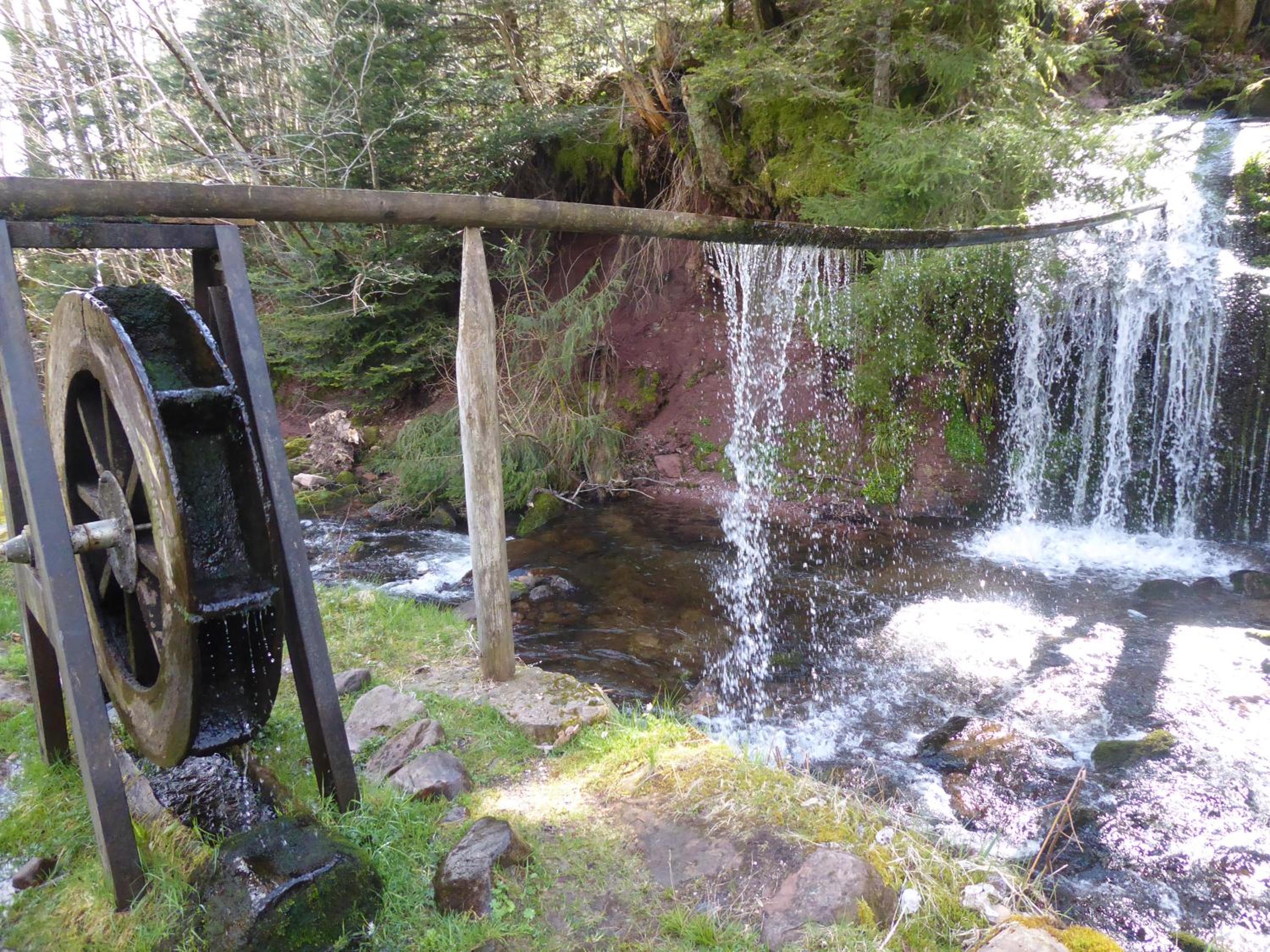 Schwarzwald-Ferienwohnungen Begert