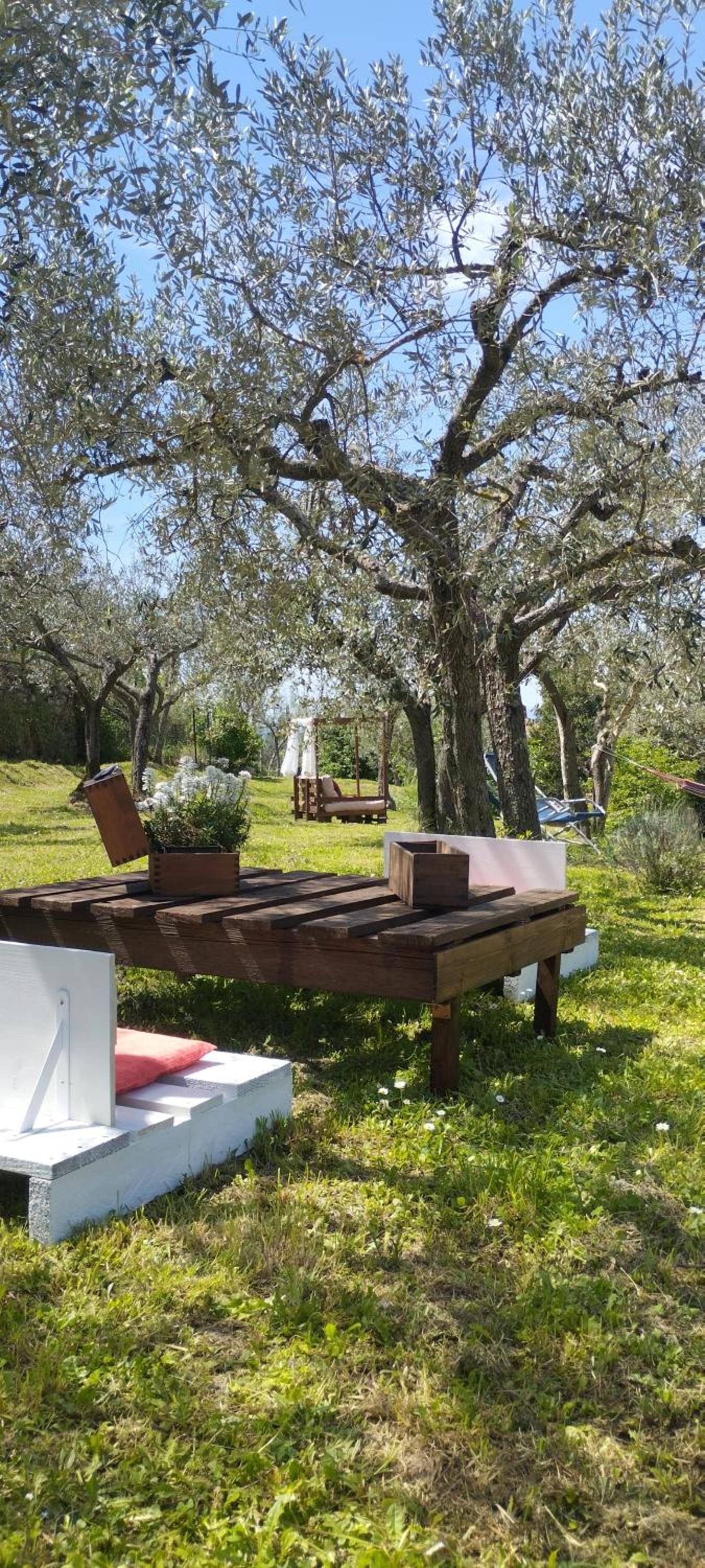 Cortona Vacations - La Casa Tra Gli Ulivi - Property Image 6