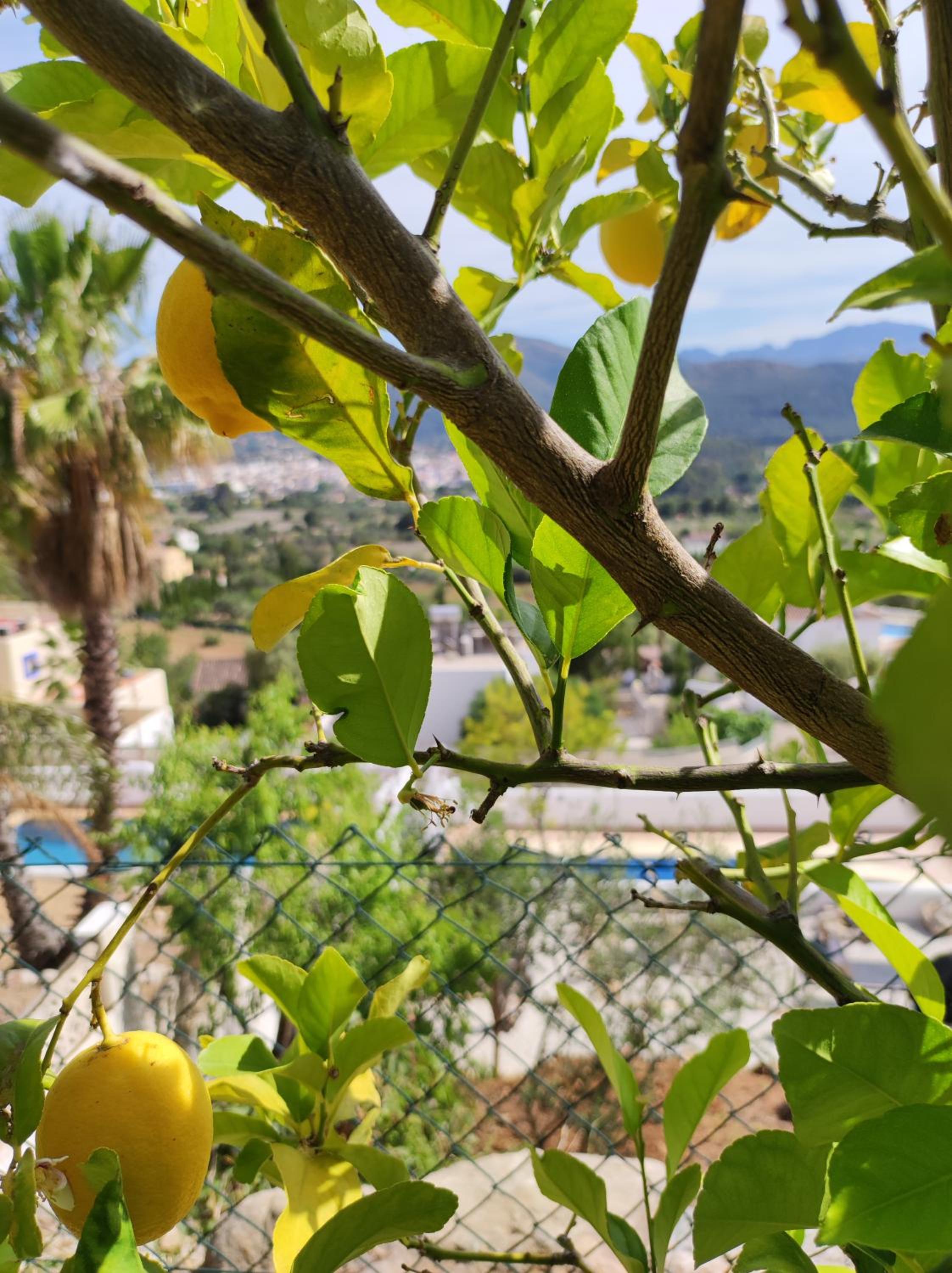 Vakantiewoning CasaLucka4enjoy private pool and mountain view regio Calpe-Jalon
