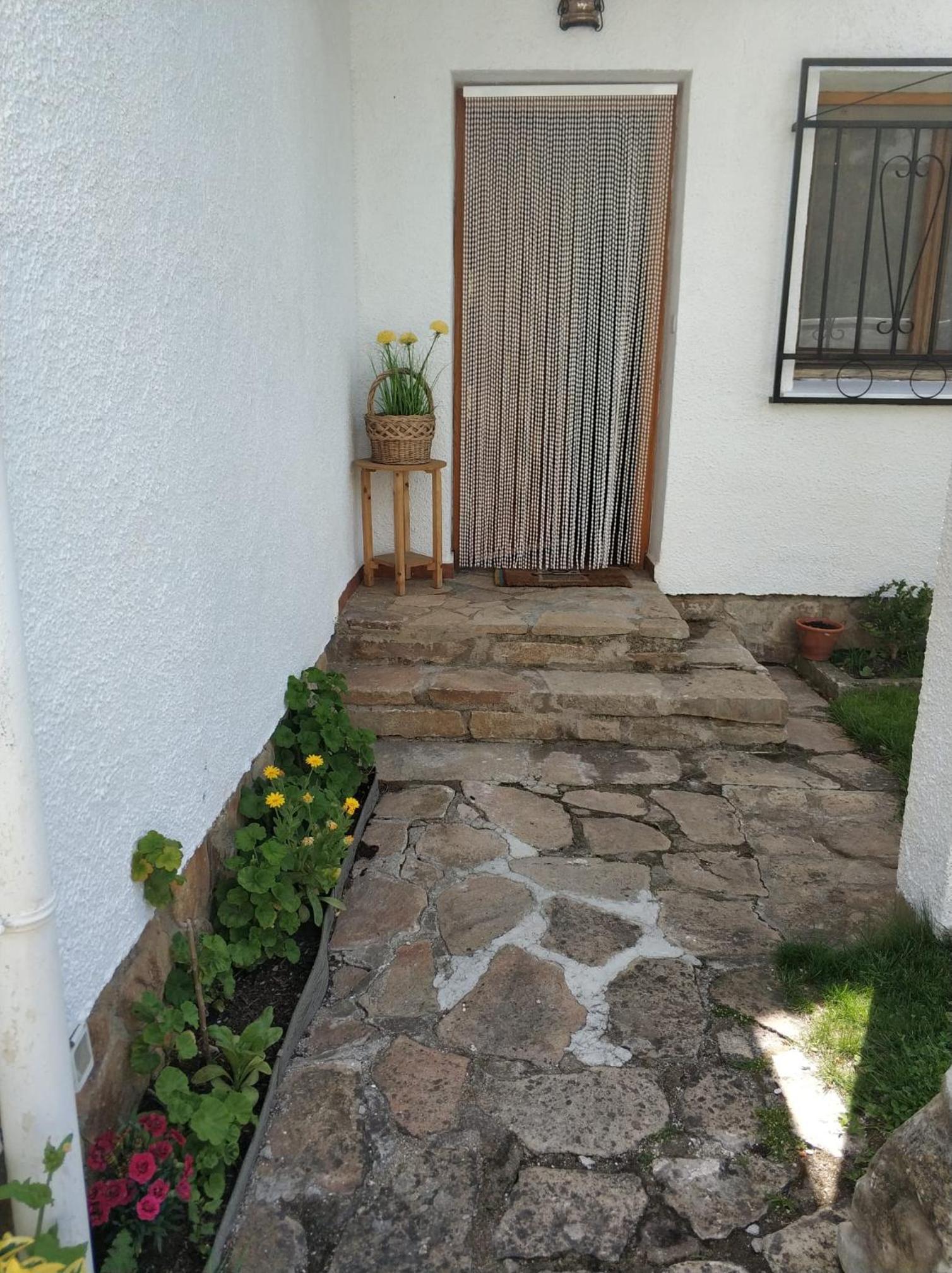 La lechuza blanca