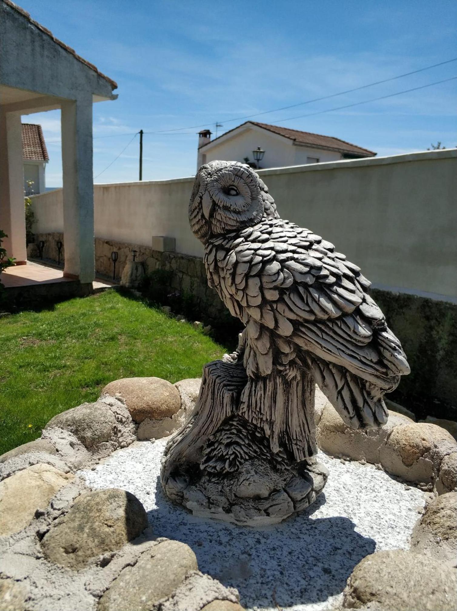 La lechuza blanca