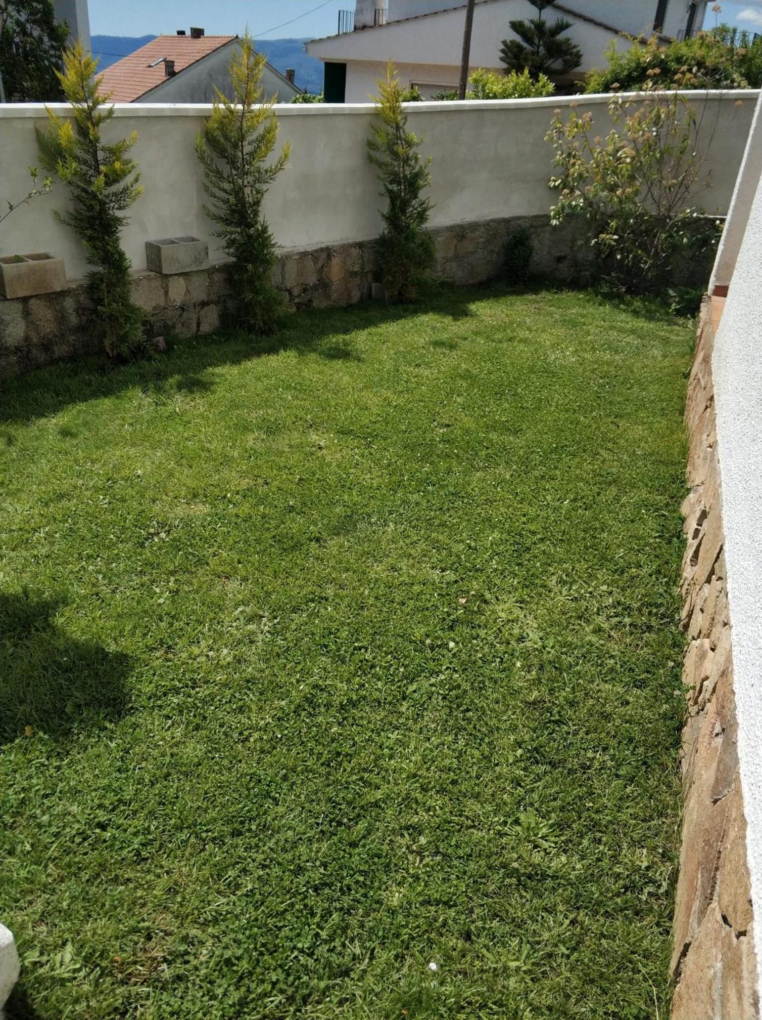La lechuza blanca