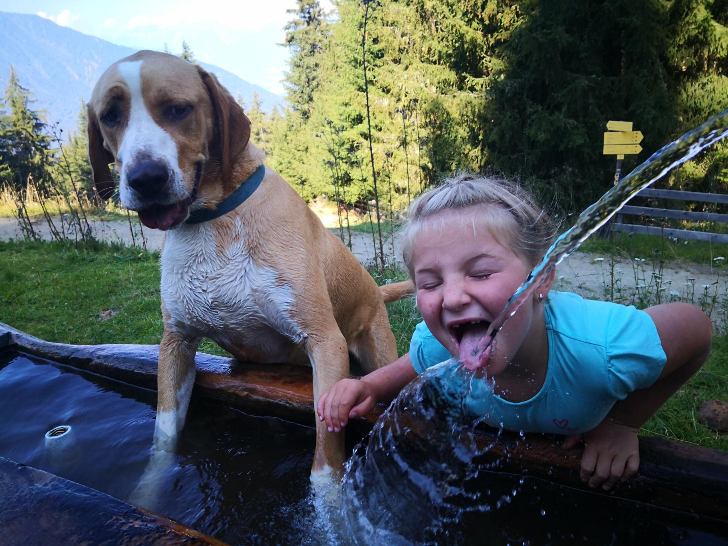 Wieserhof Tirol