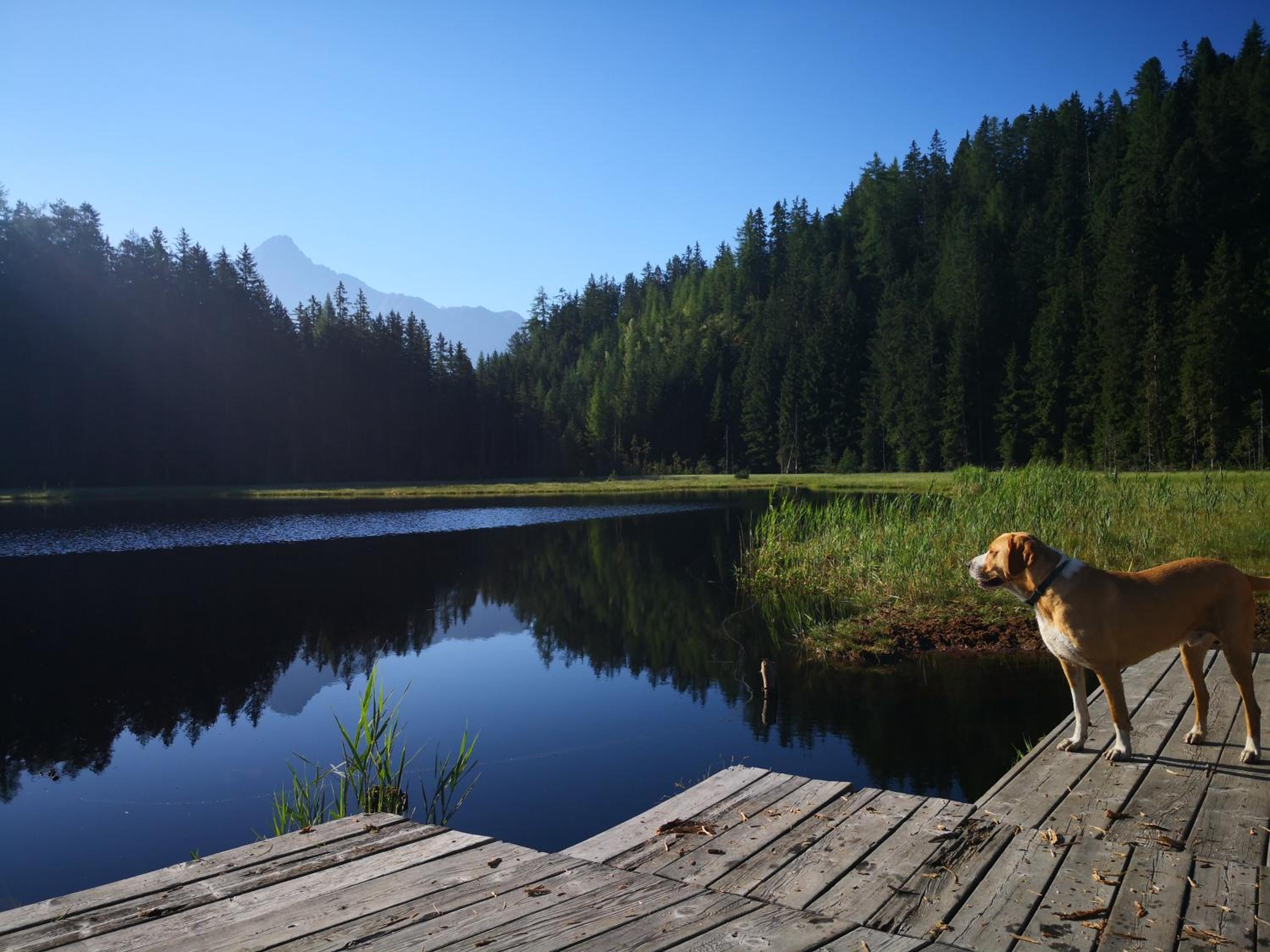 Wieserhof Tirol
