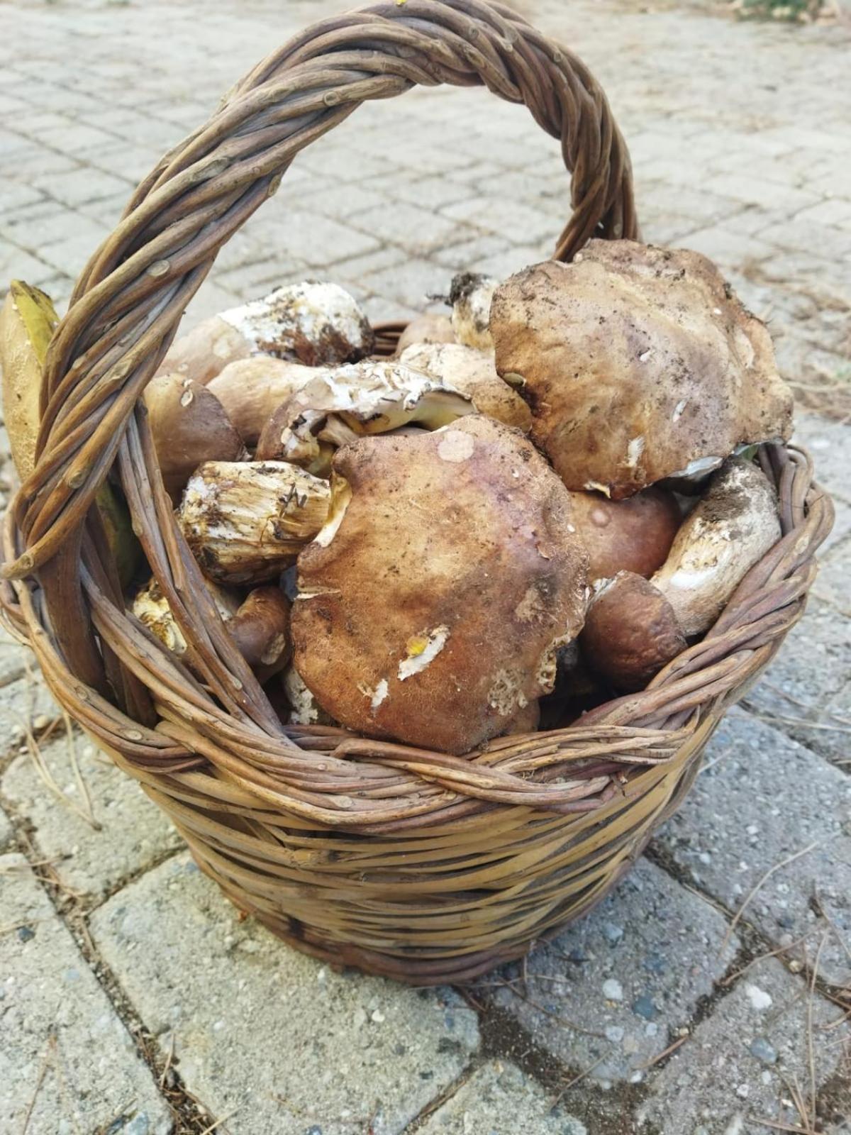 Photo 19