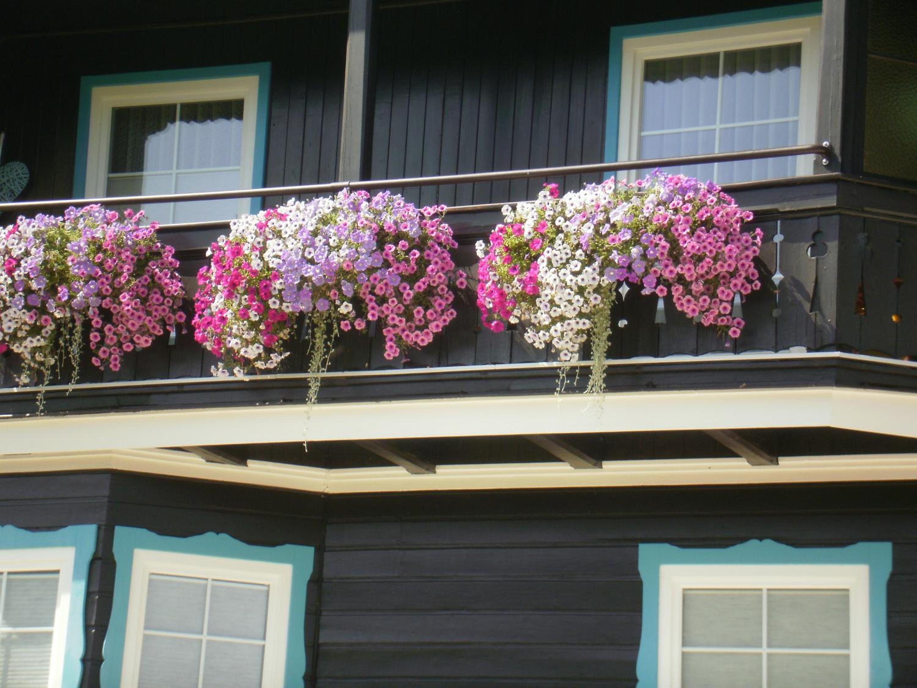 Haus Thon