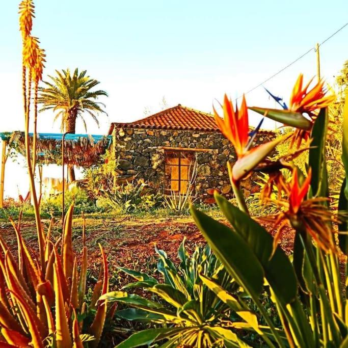 Casita en el campo con vista al oceano view 4
