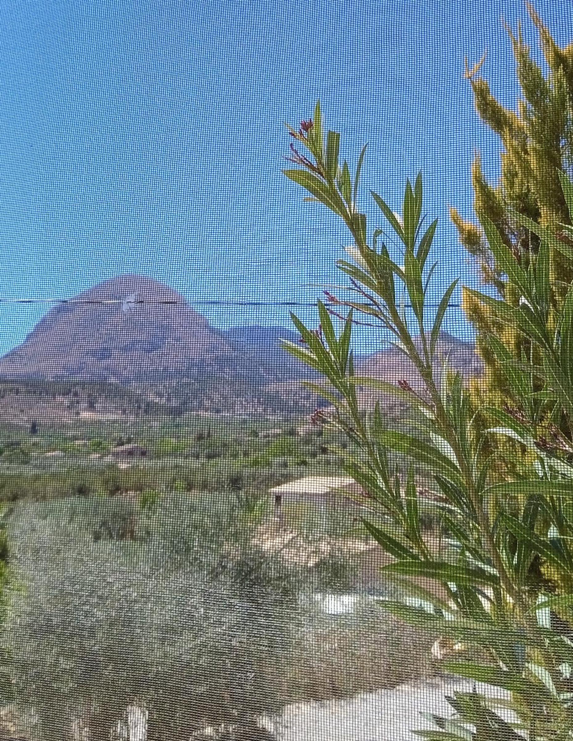 Cortijo el Moro