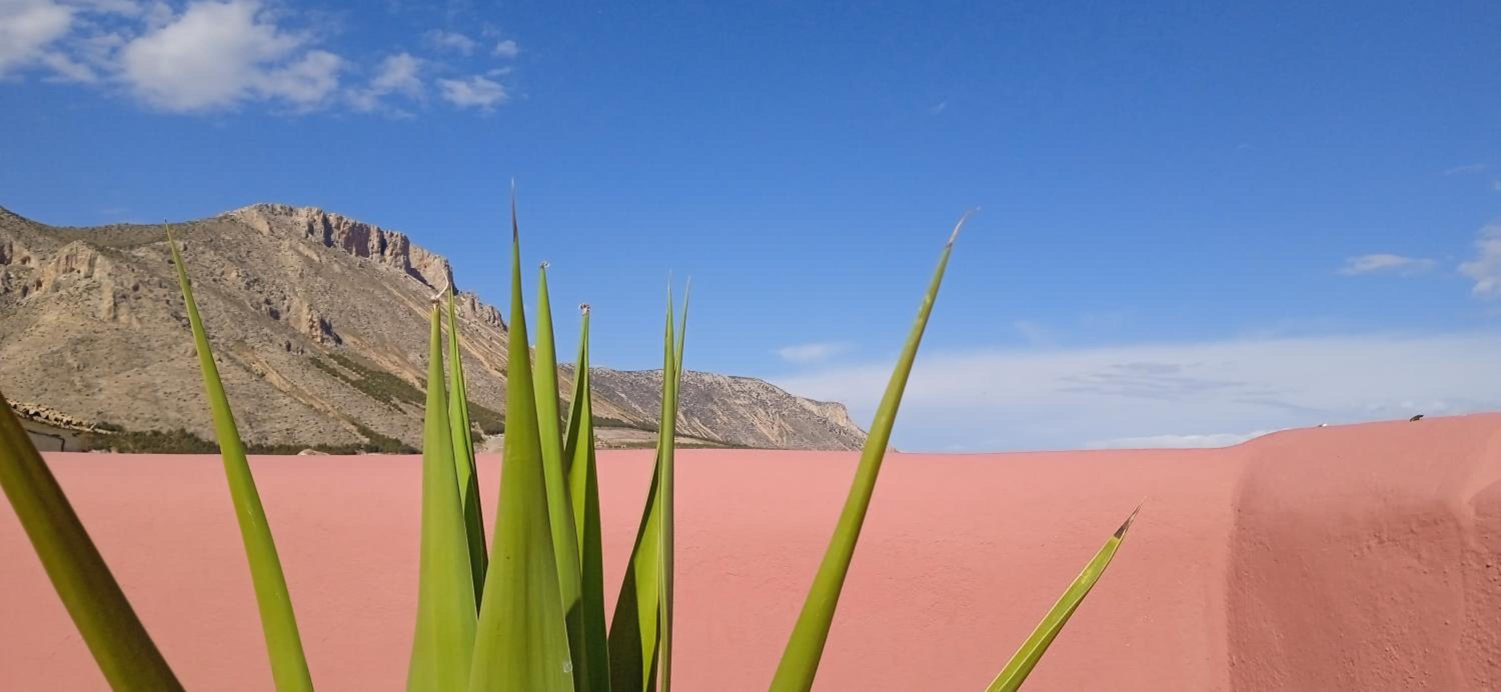 Cortijo el Moro