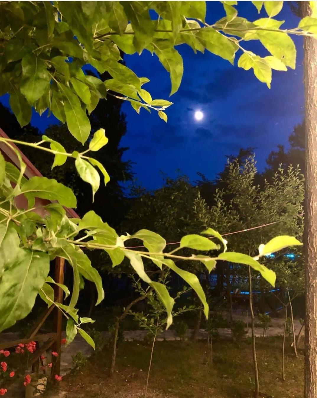 ECOHOTEL ''QIZIL Dere''