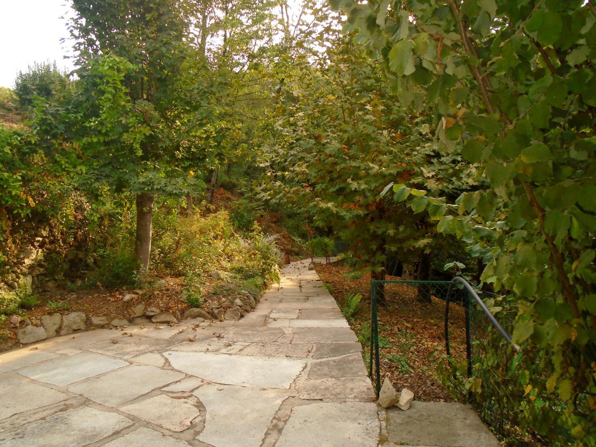 the nest ~ Your best rest view 2