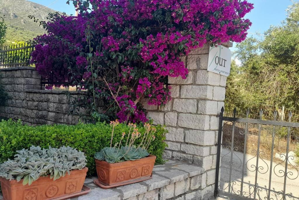 OUTParga Apartment 4 photo 3