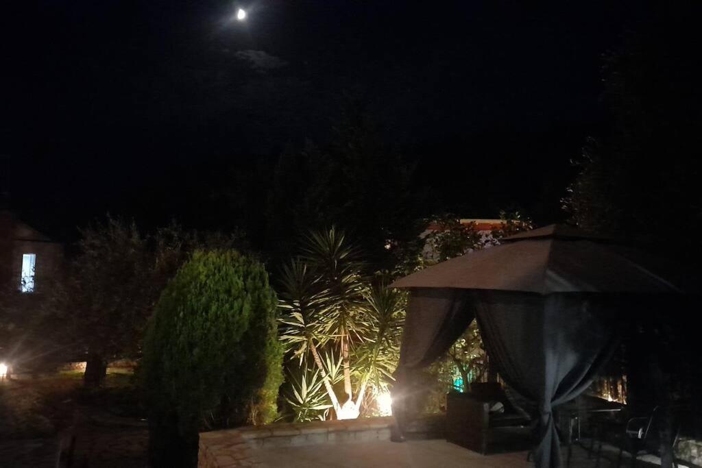 OUTParga Apartment 4 photo 5