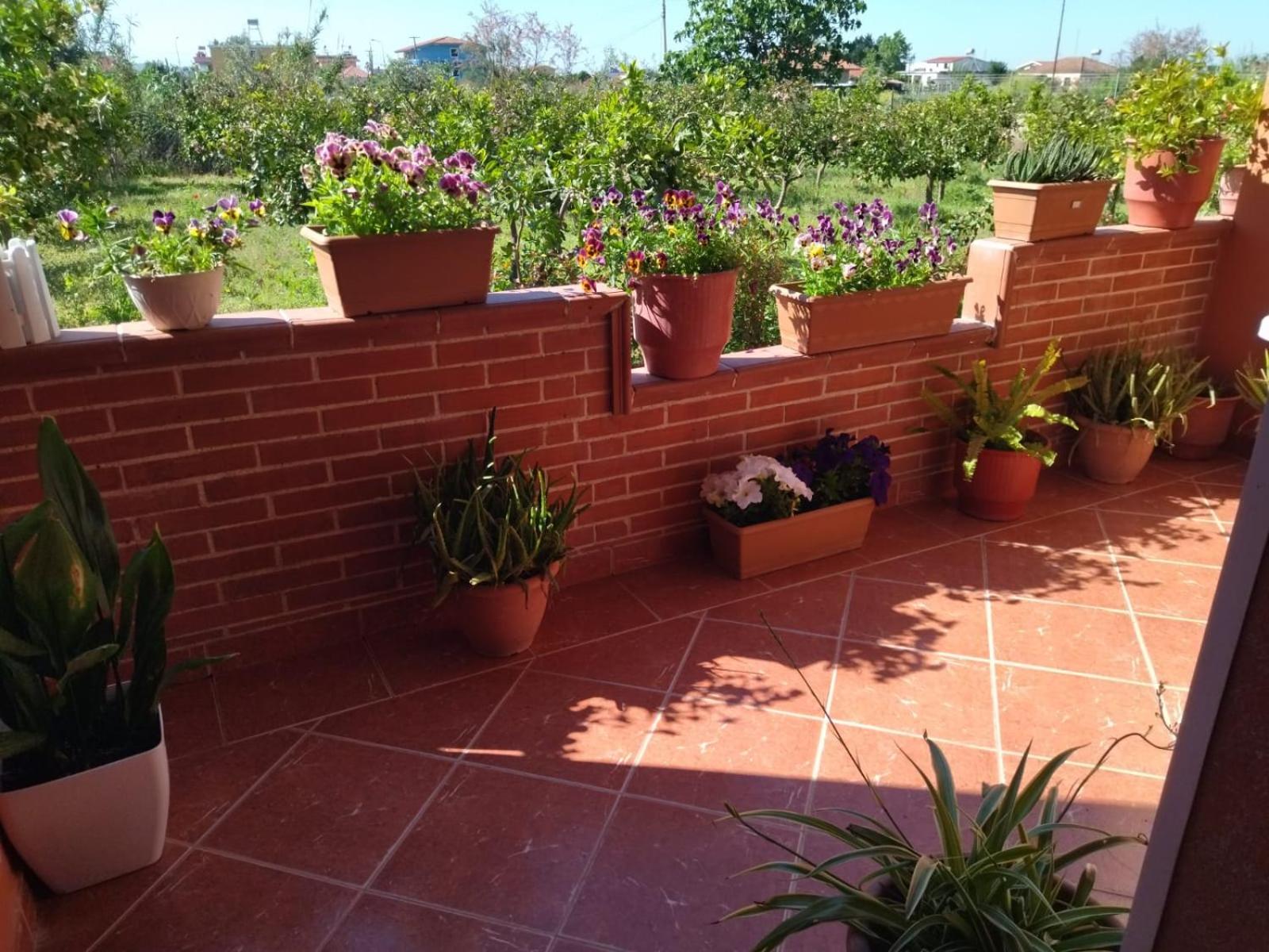 The Garden Guest House