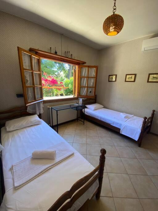 Jenny's Guesthouse! view 5