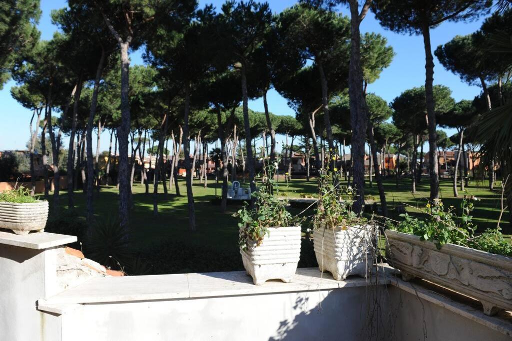 Accogliente Villa immersa nel verde view 5