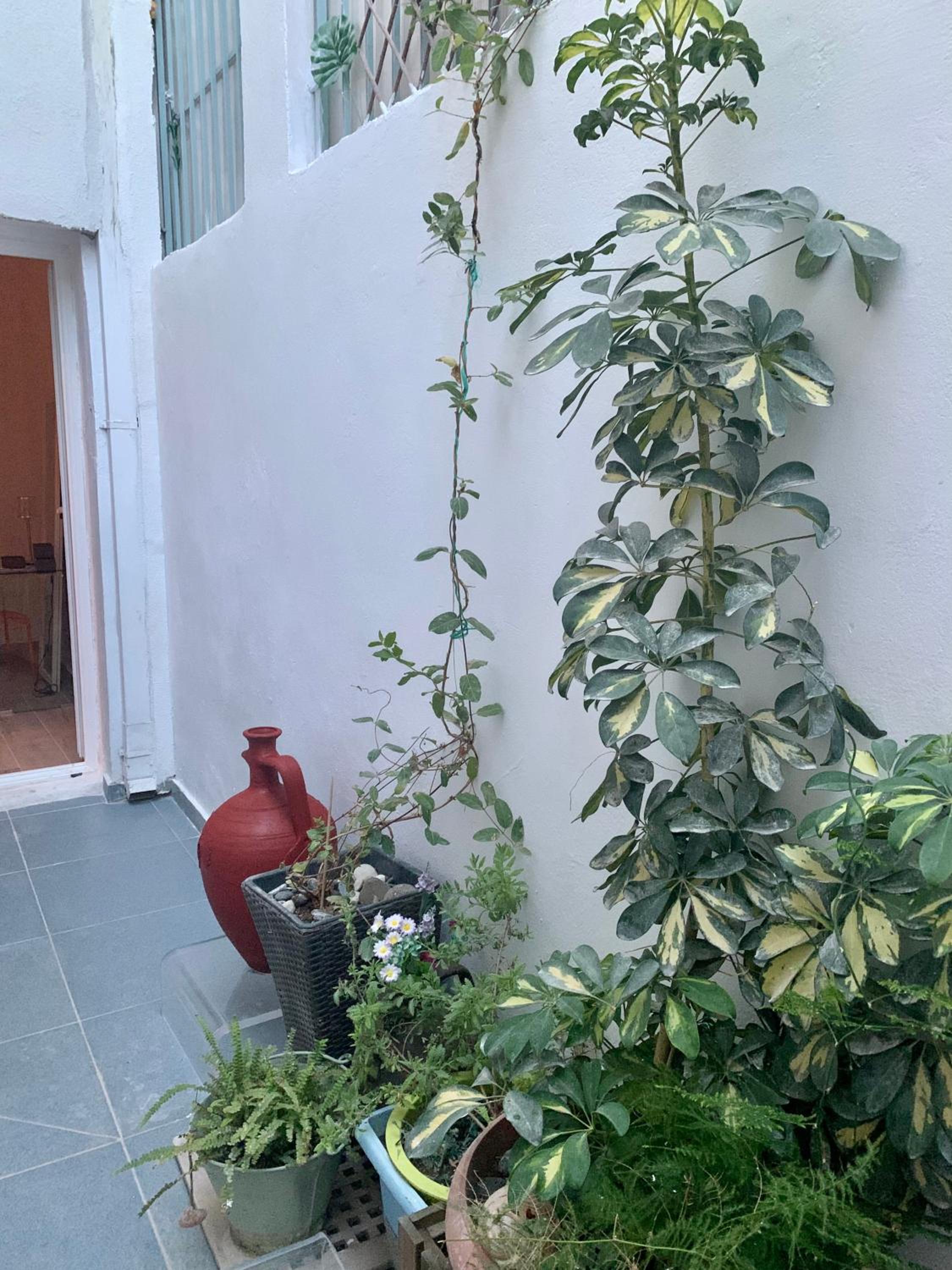 Family friendly, cozy house in Athens view 3