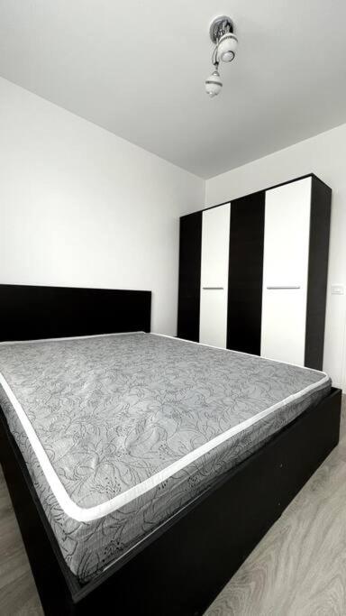 Bucium Apartament