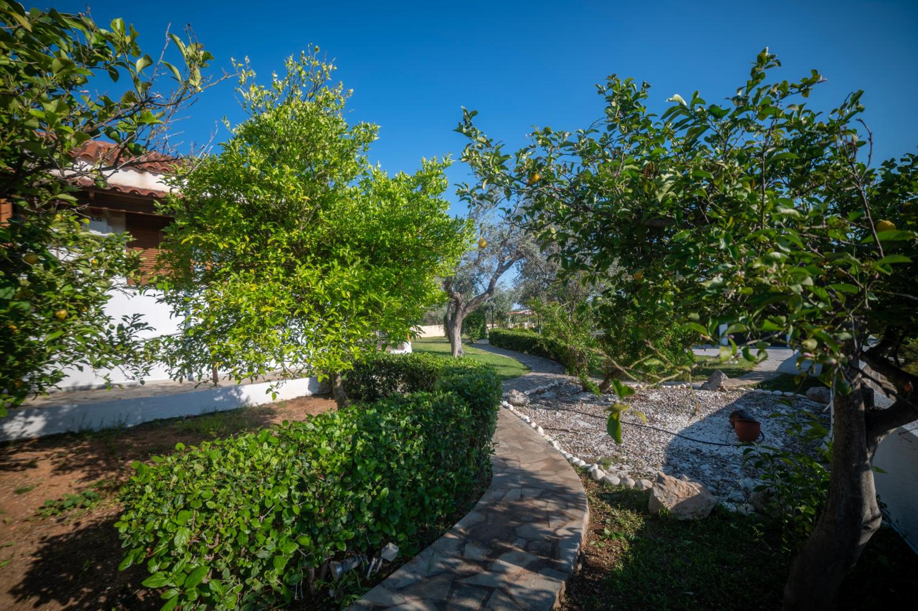 Green Garden
