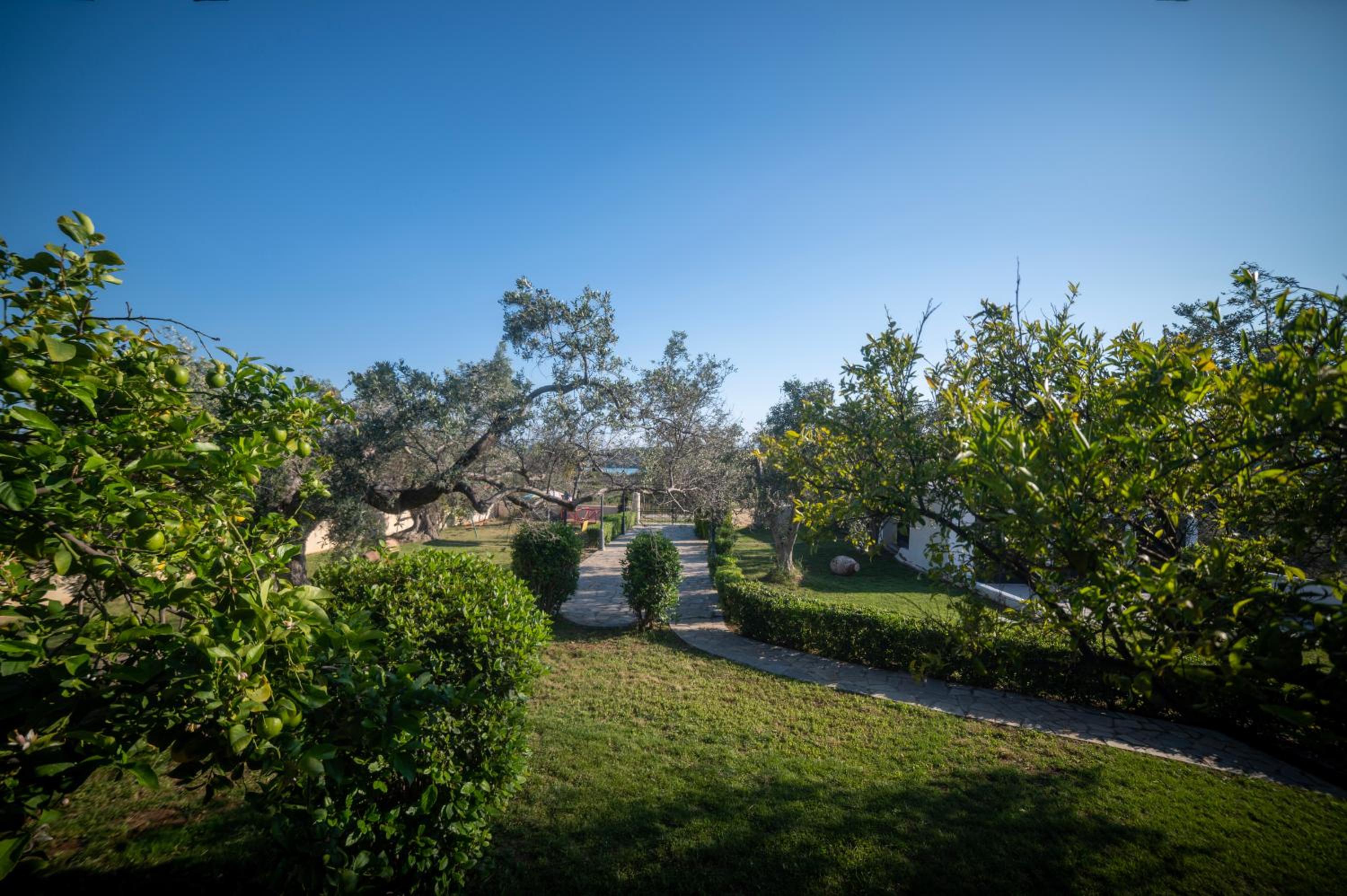 Green Garden