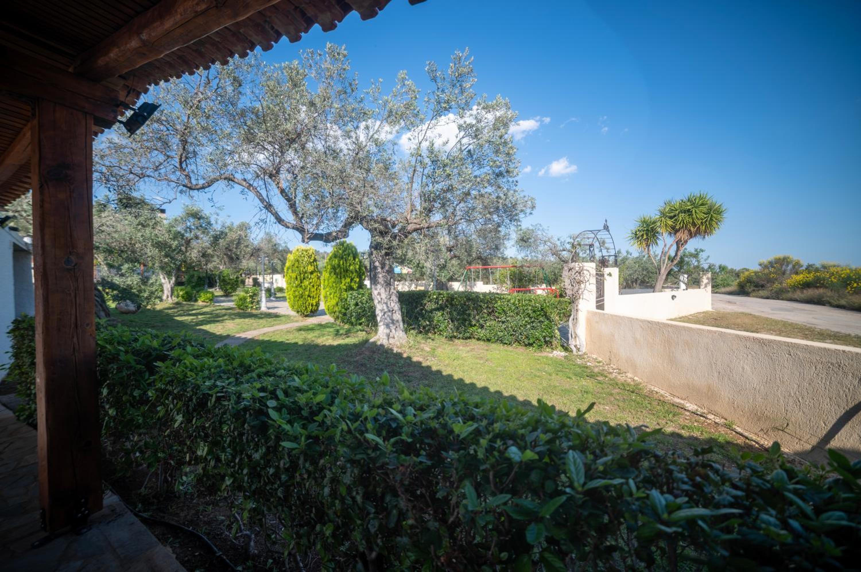 Green Garden