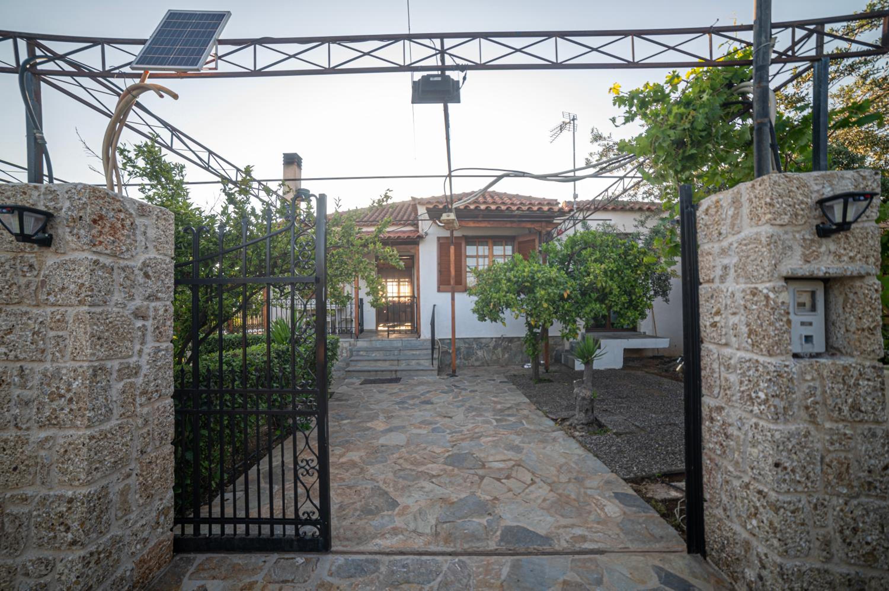 Green Garden